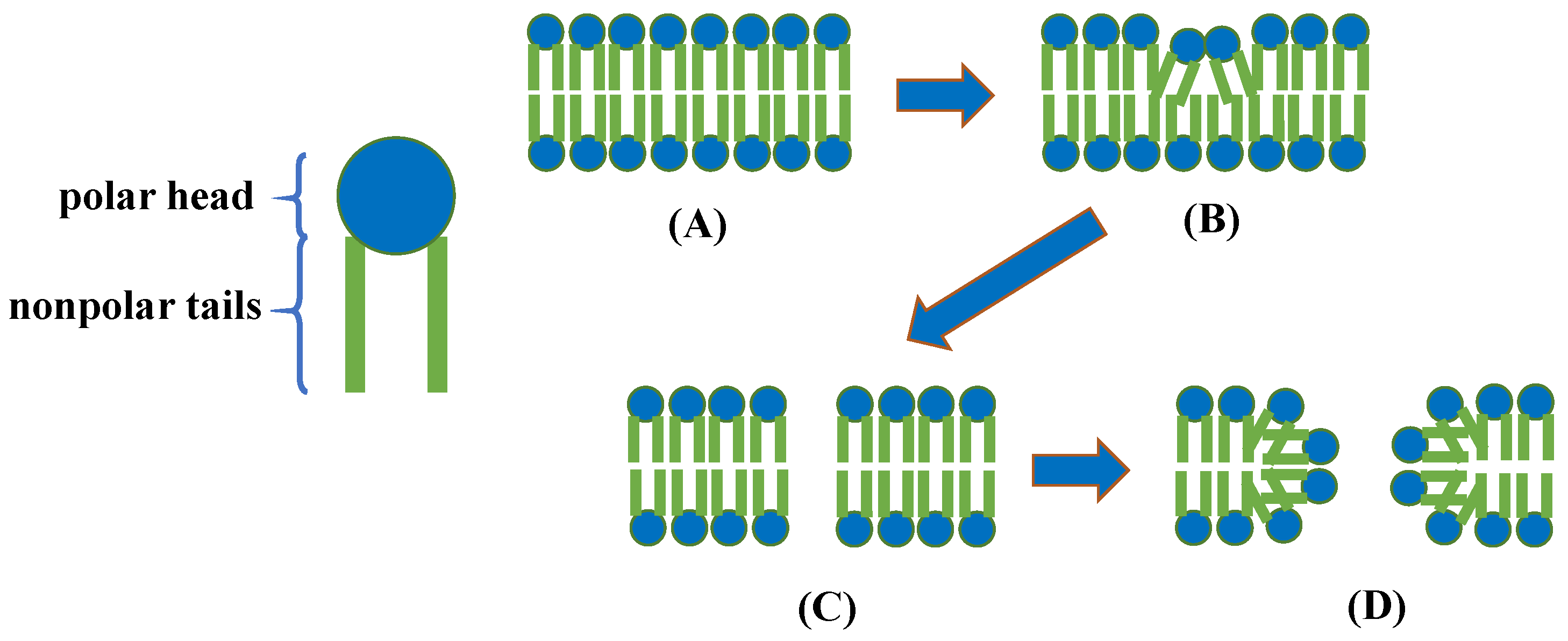 Sustainability 15 08432 g003 Sustainability 15 08432 g003