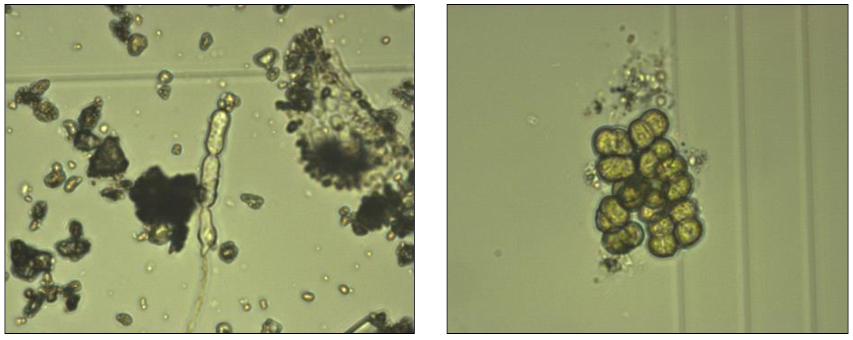 Sustainability 15 08449 g006