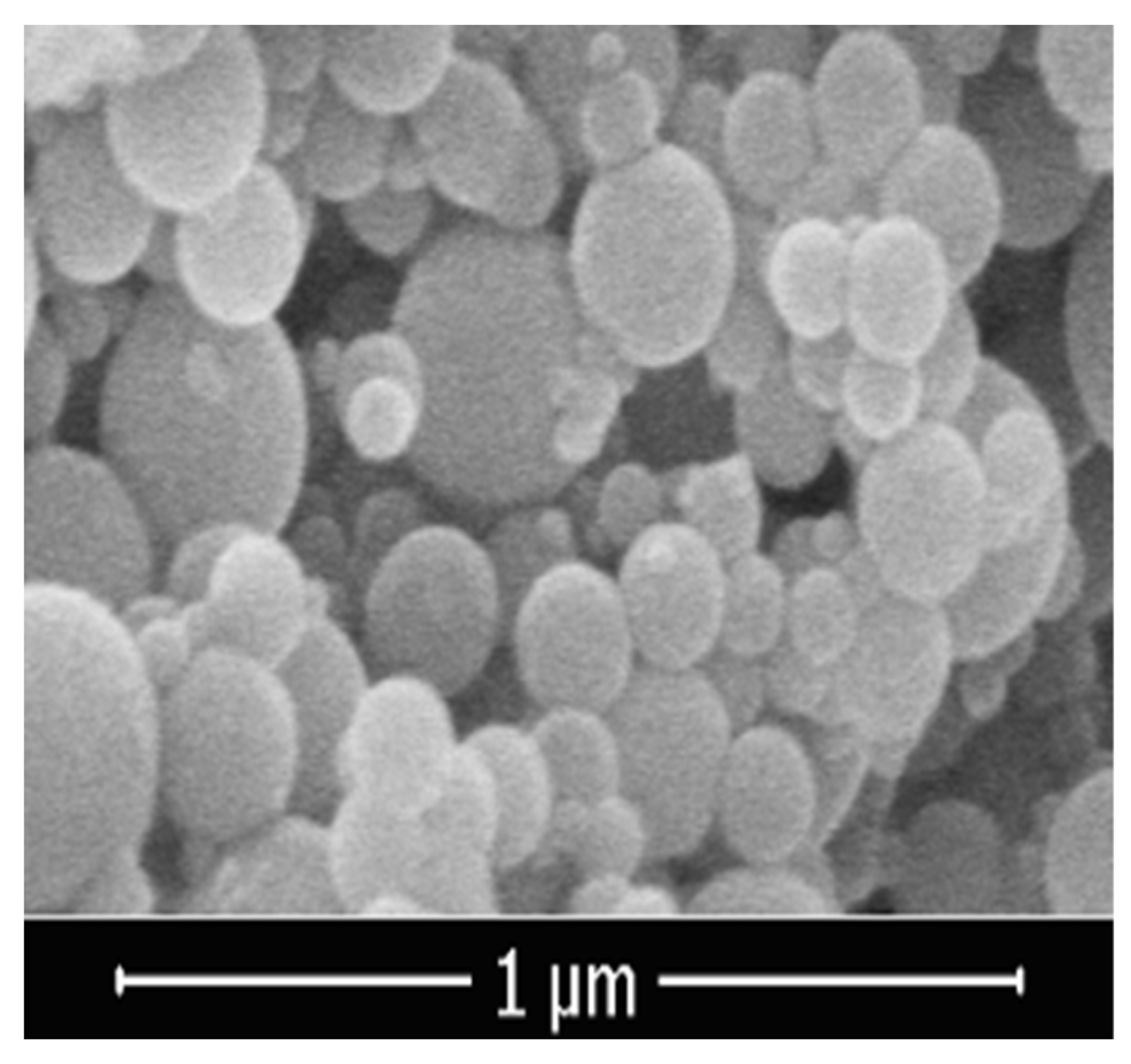 Sustainability 15 08465 g001 Sustainability 15 08465 g001