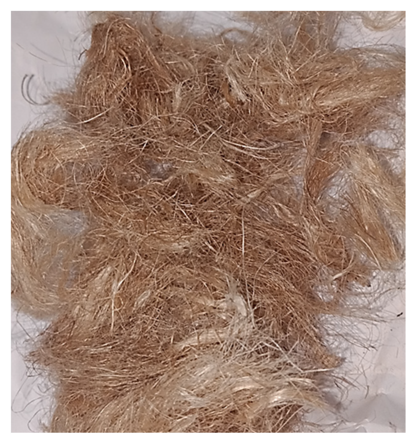 Sustainability 15 08465 g004 Sustainability 15 08465 g004