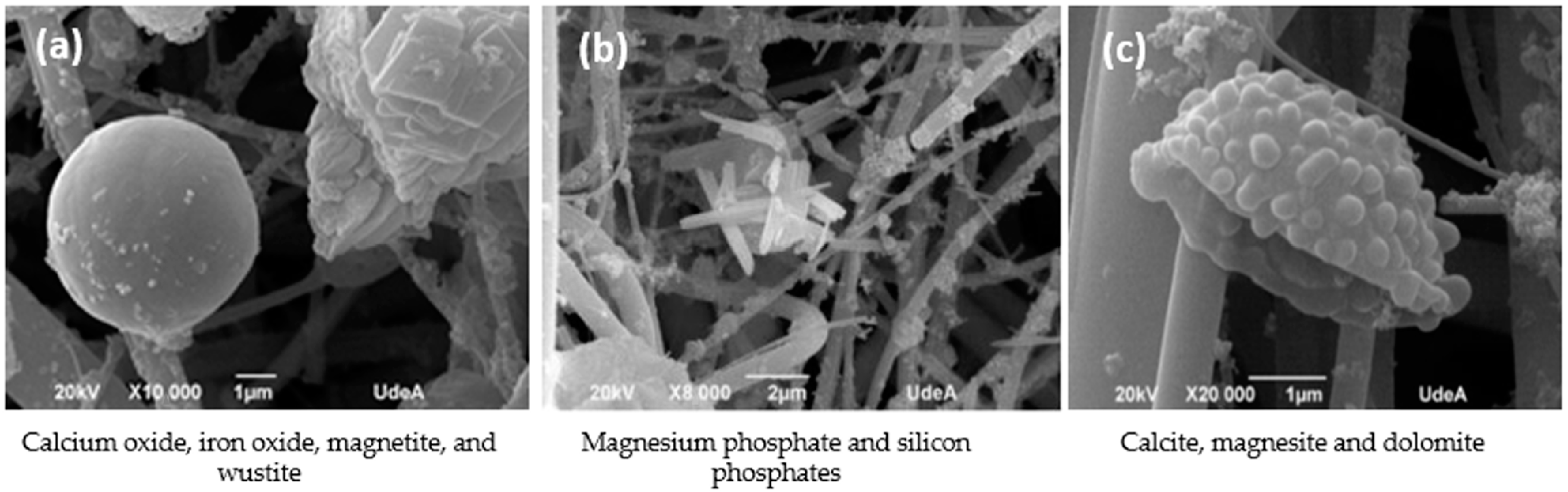 Sustainability 15 08504 g004