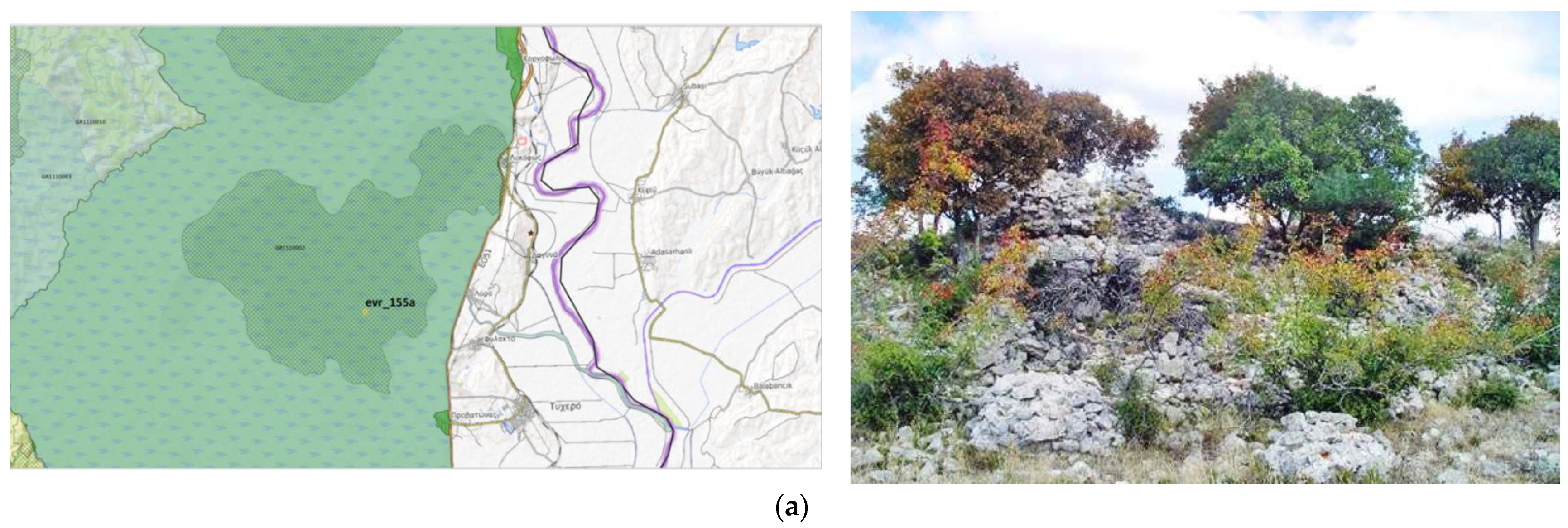 Sustainability 15 08540 g007a