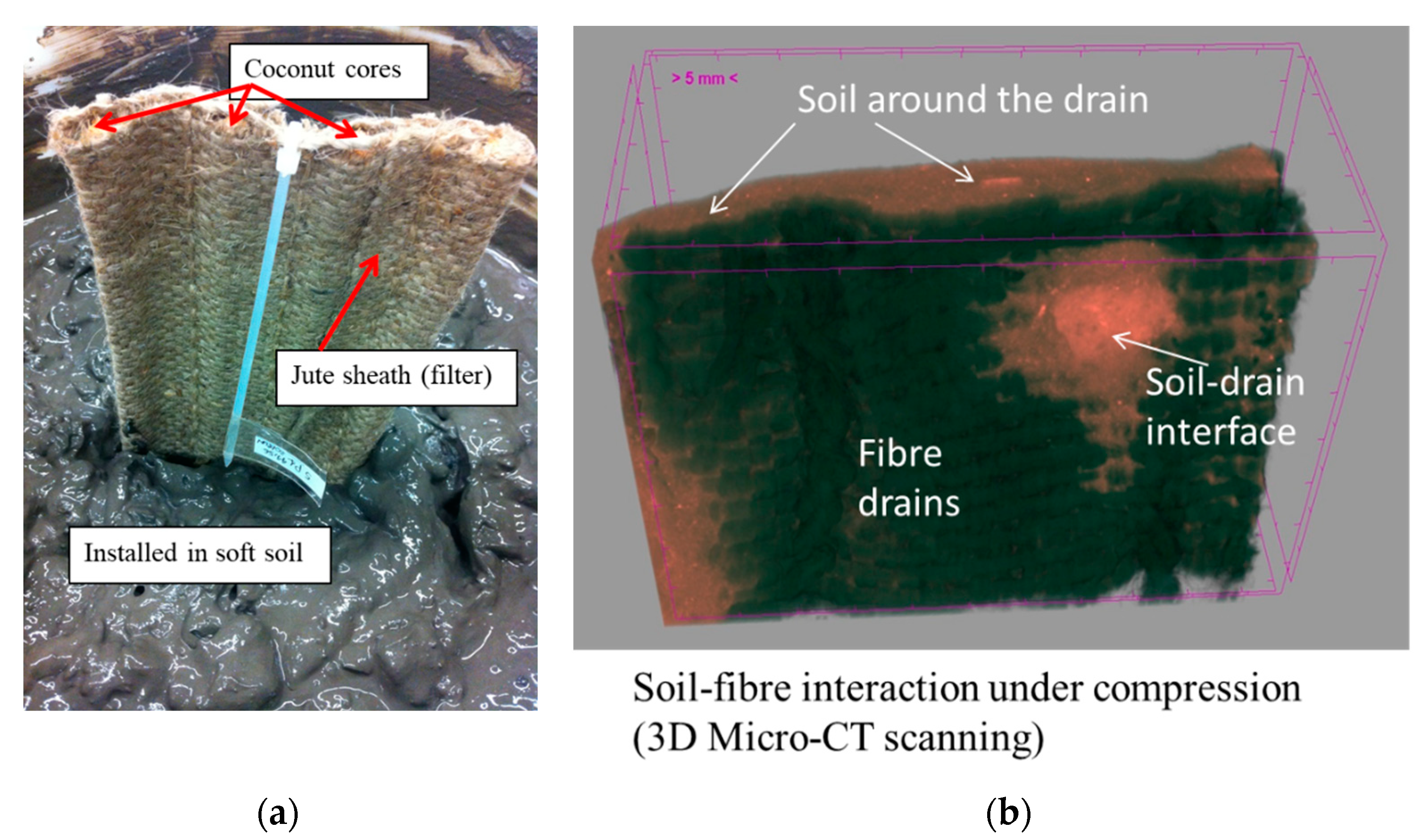 Sustainability 15 08603 g004