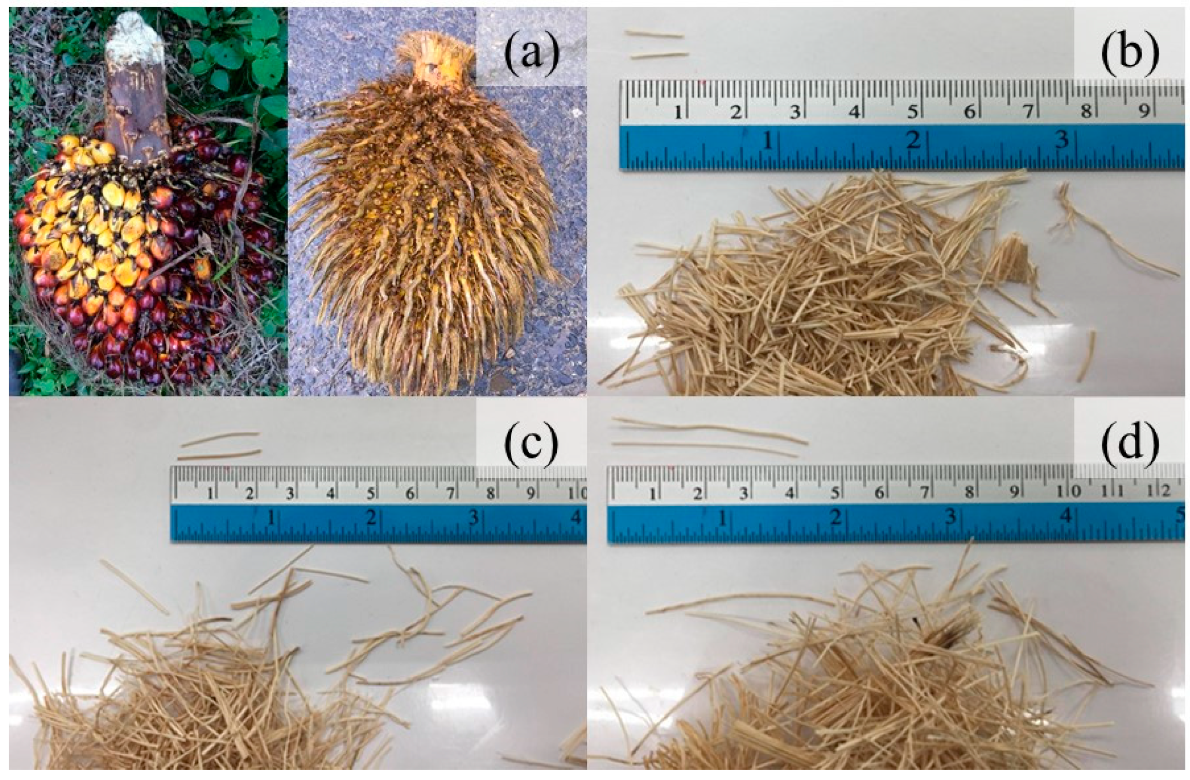 Sustainability 15 08607 g002