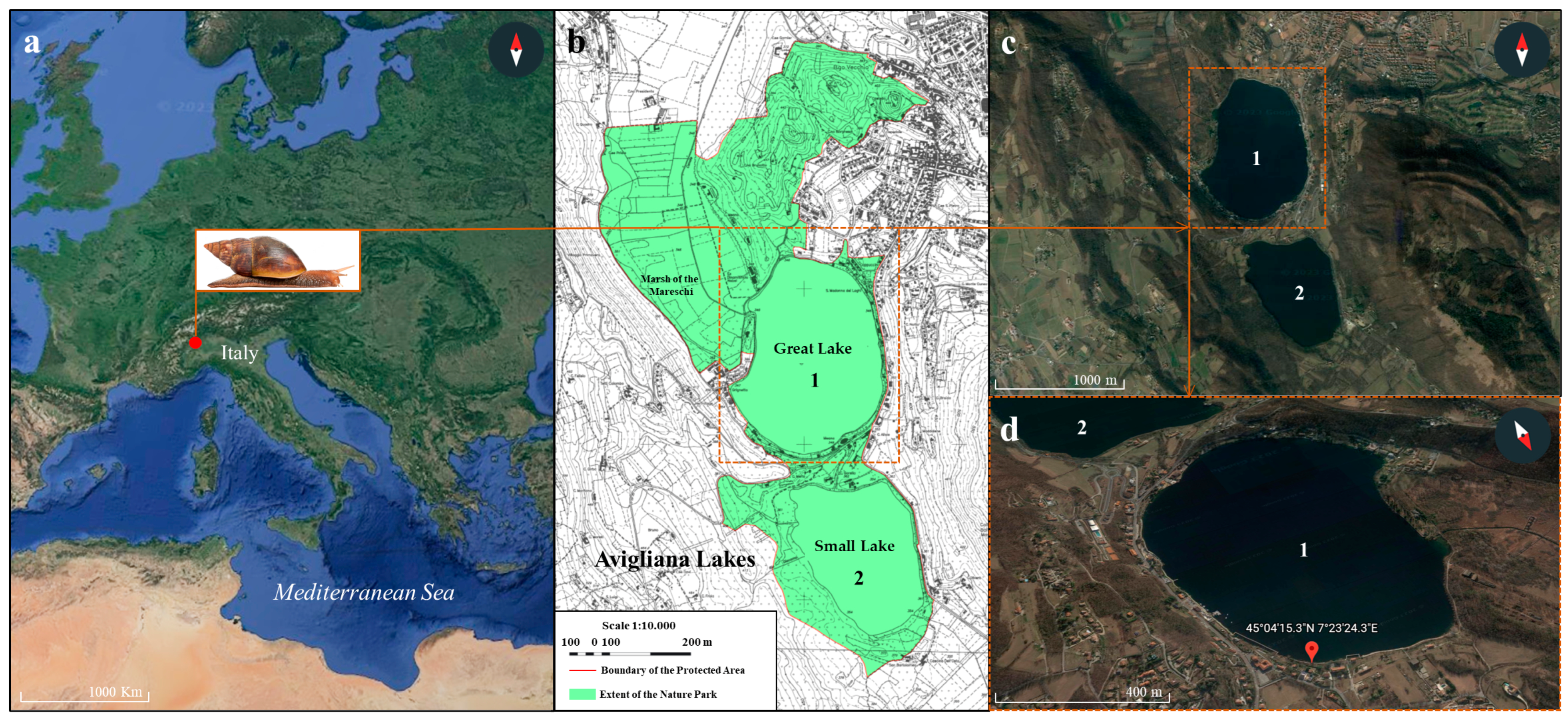 Sustainability 15 08633 g001