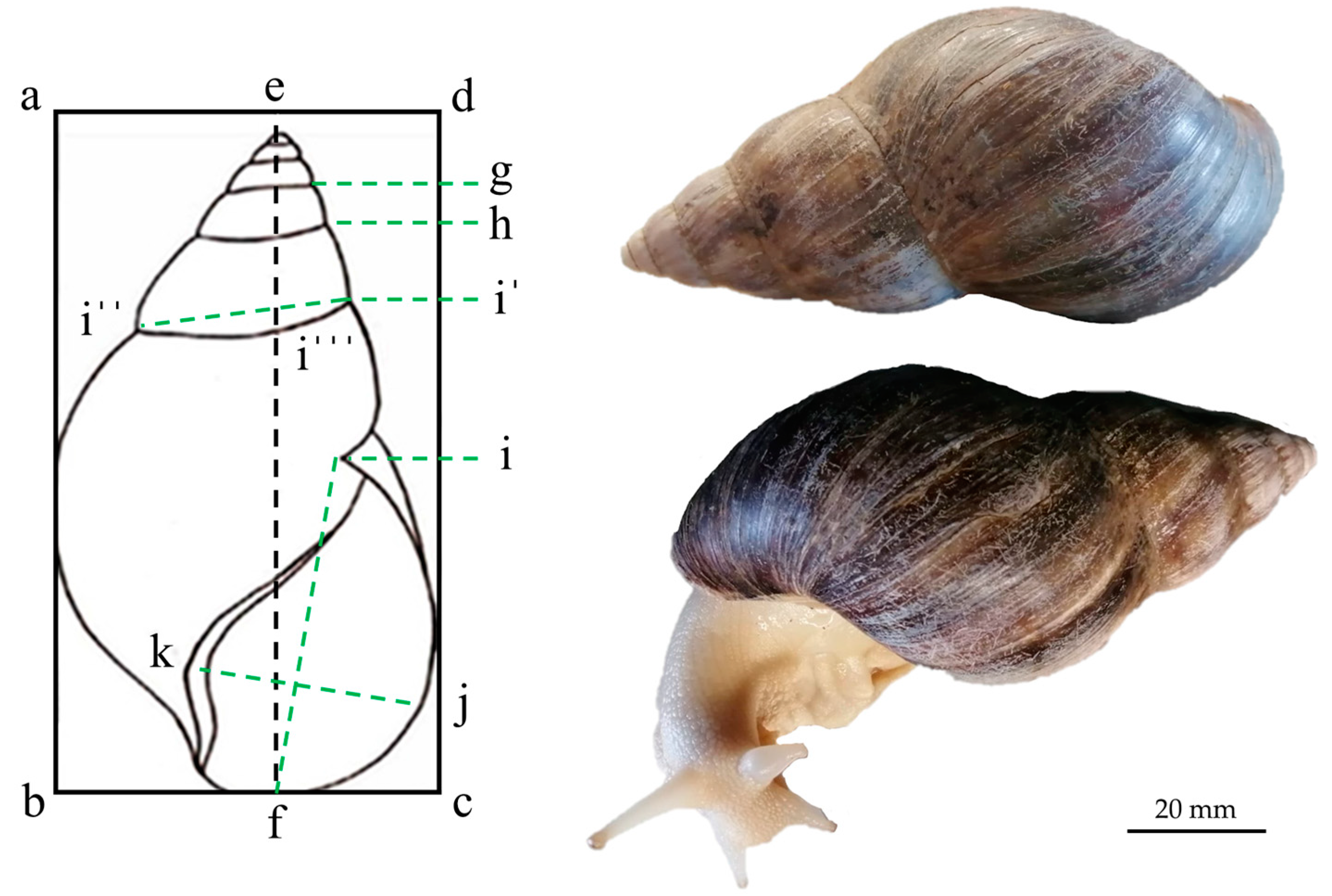 Sustainability 15 08633 g002