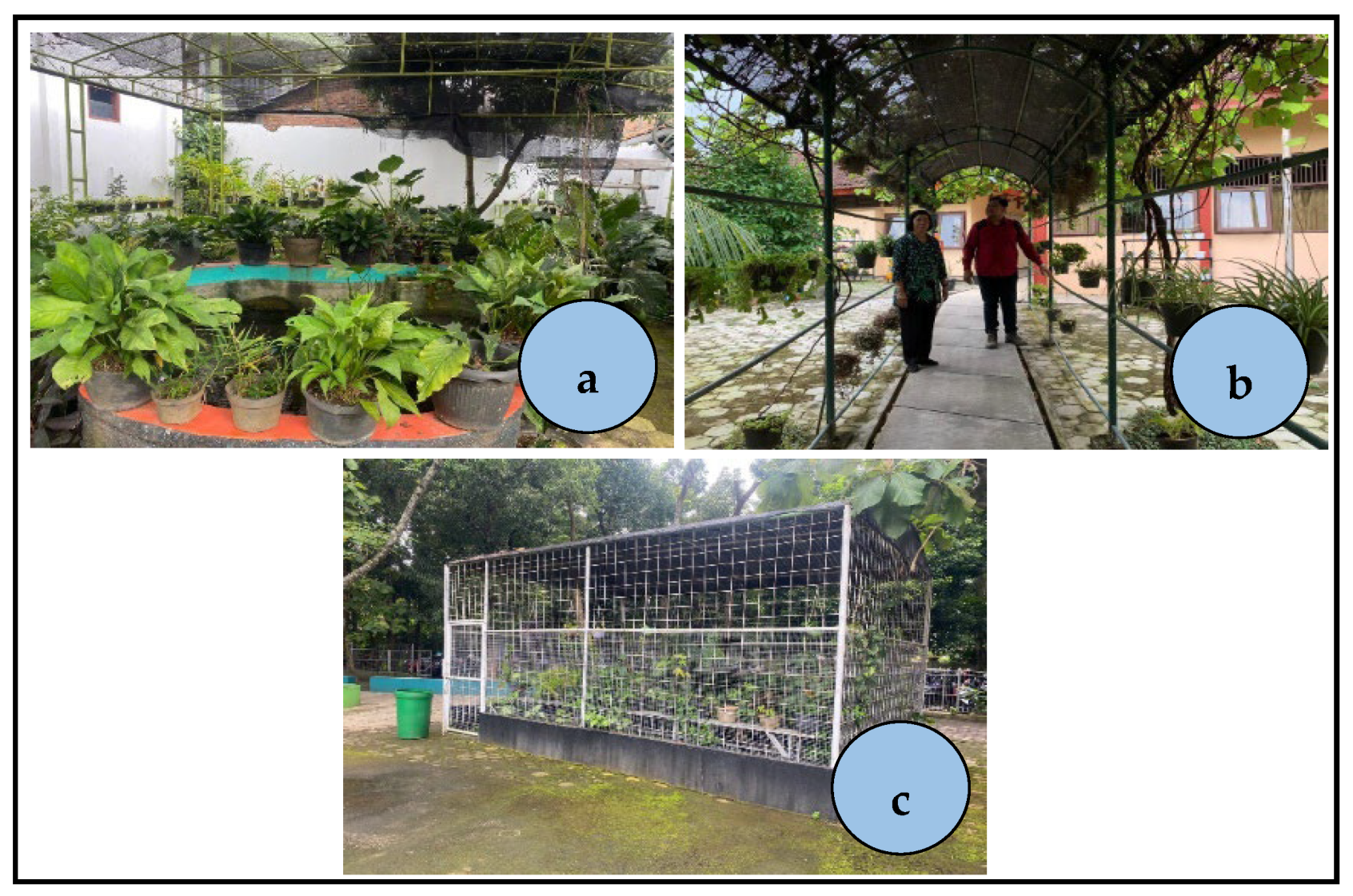 Sustainability 15 08651 g001