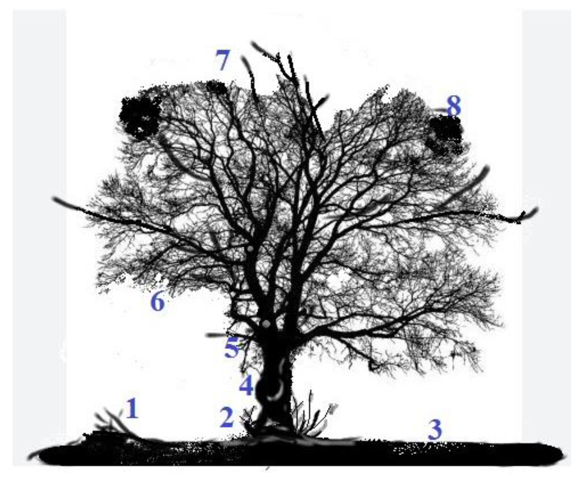 Sustainability 15 08654 g010