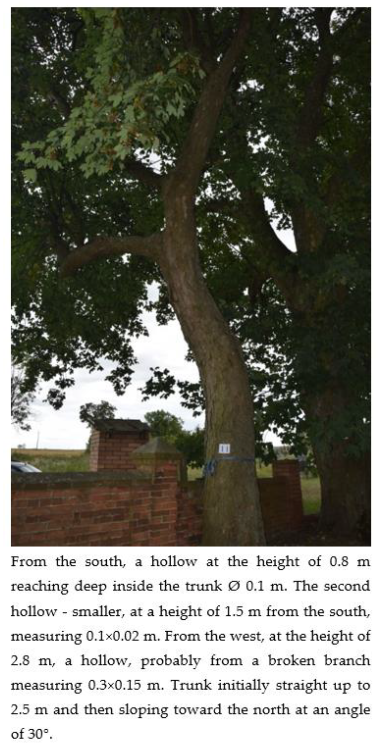 Sustainability 15 08654 g013