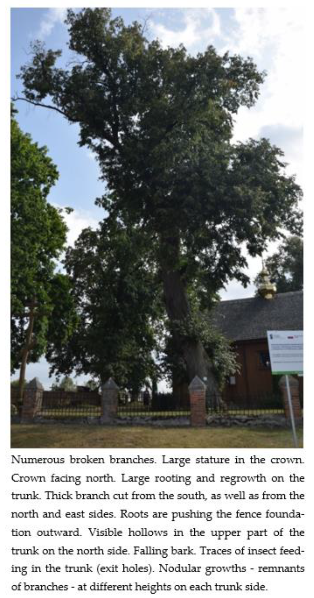 Sustainability 15 08654 g015