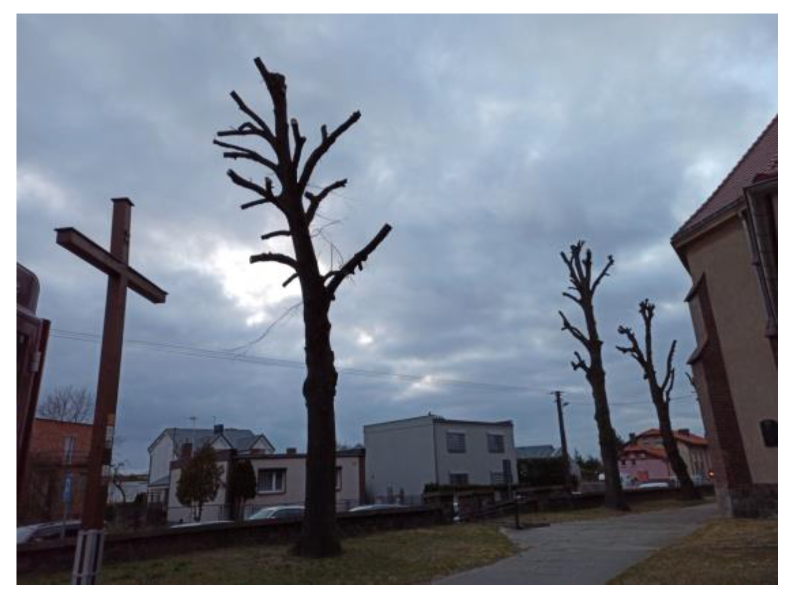 Sustainability 15 08654 g018