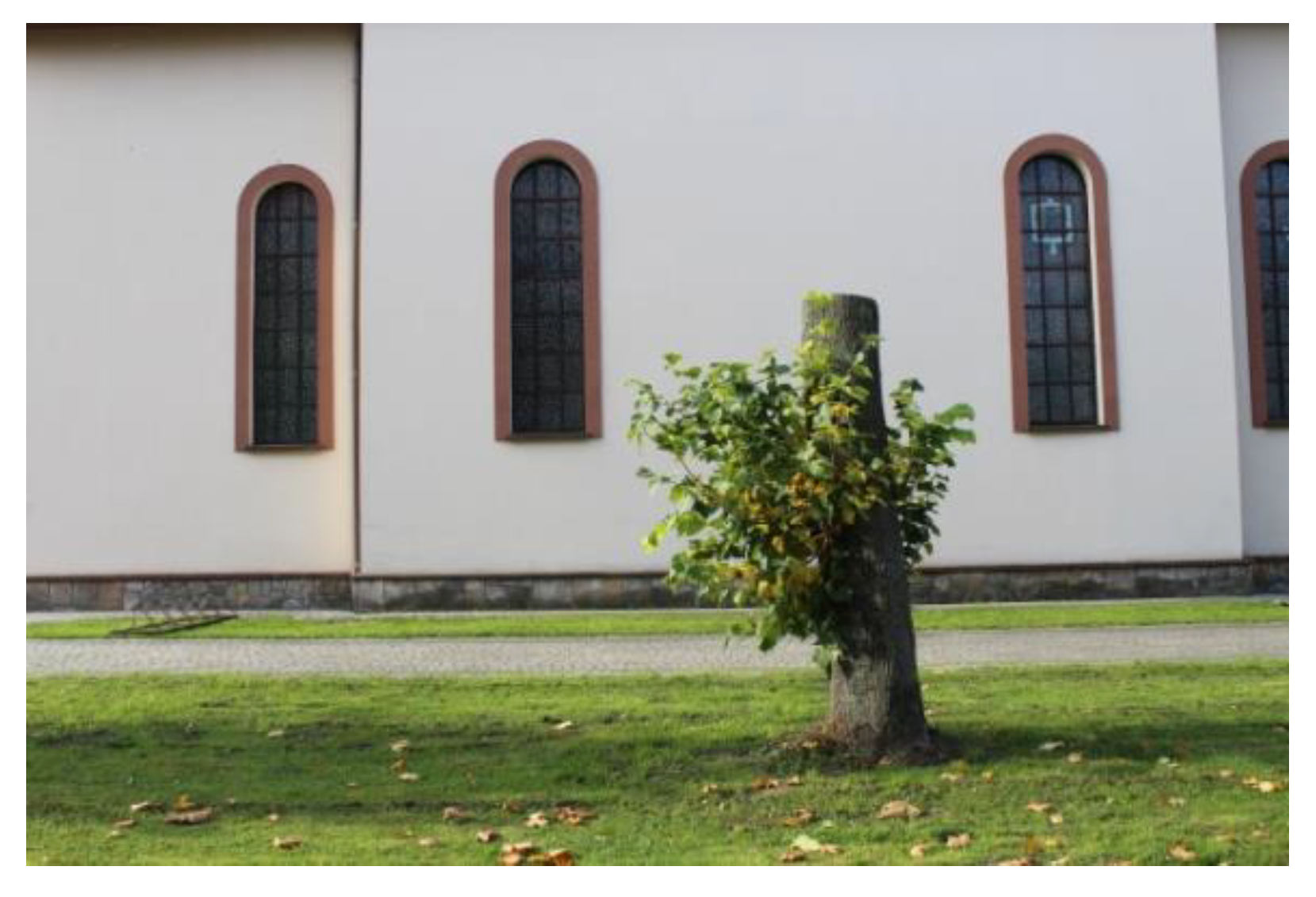 Sustainability 15 08654 g020