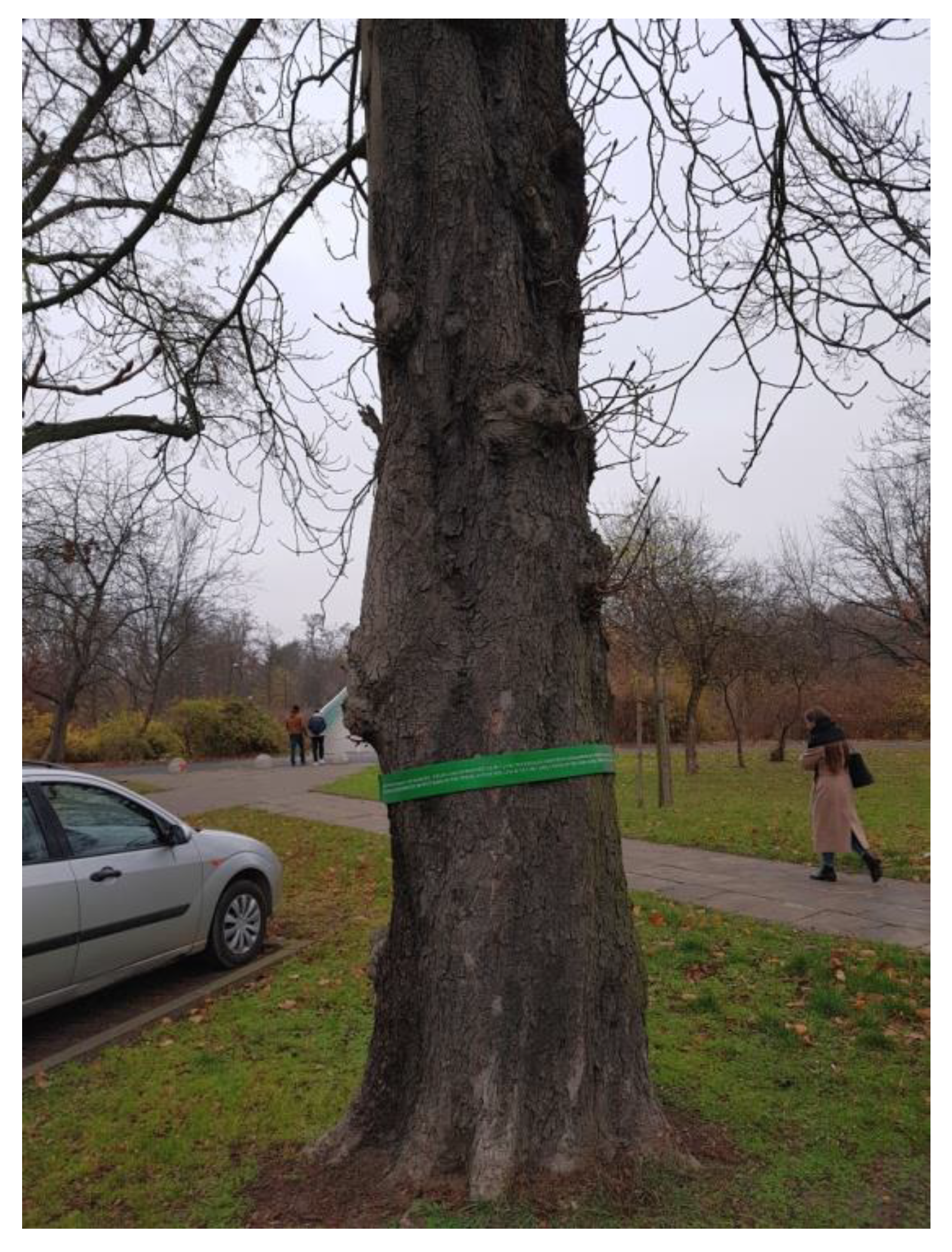 Sustainability 15 08654 g022