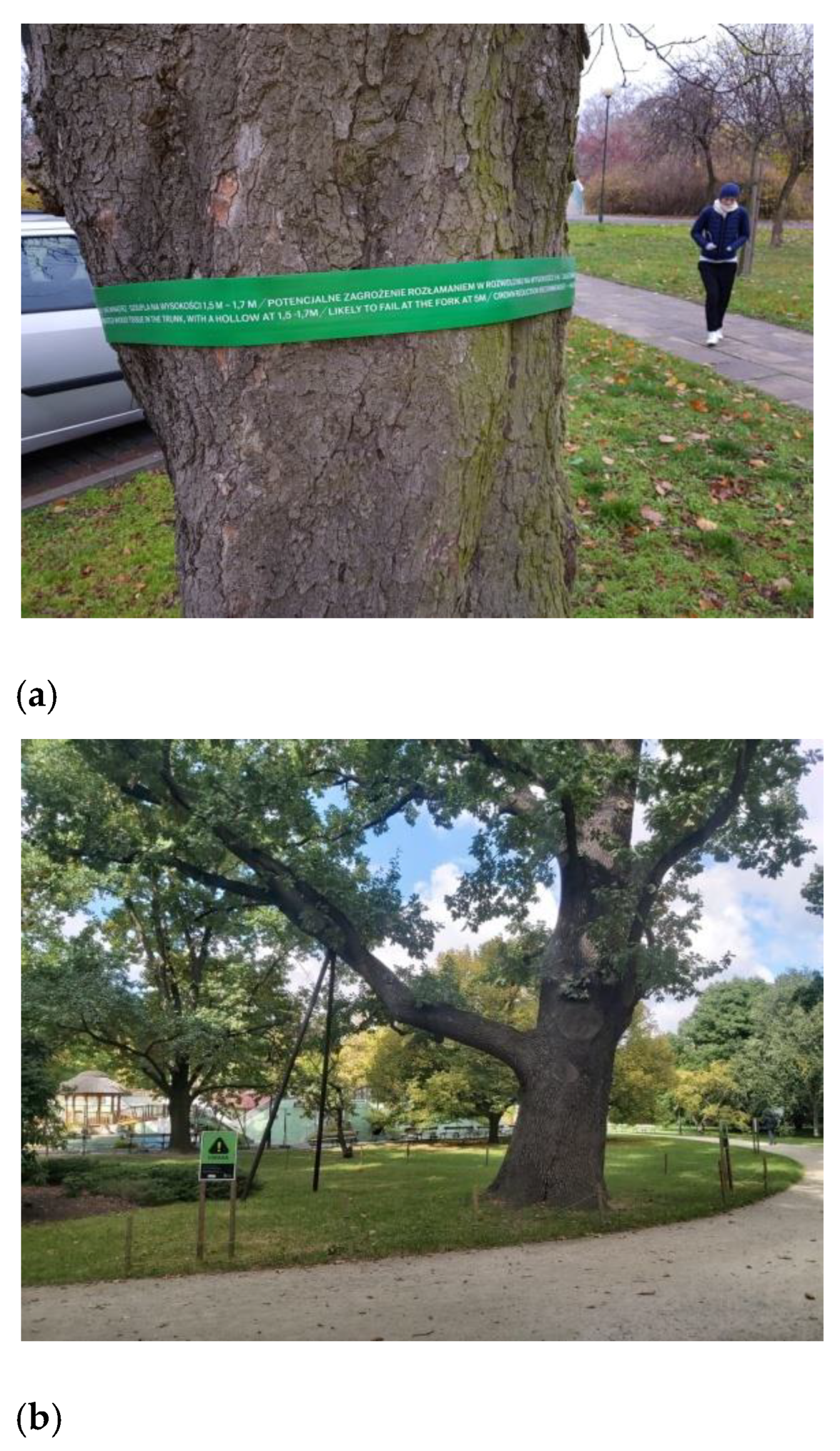 Sustainability 15 08654 g023