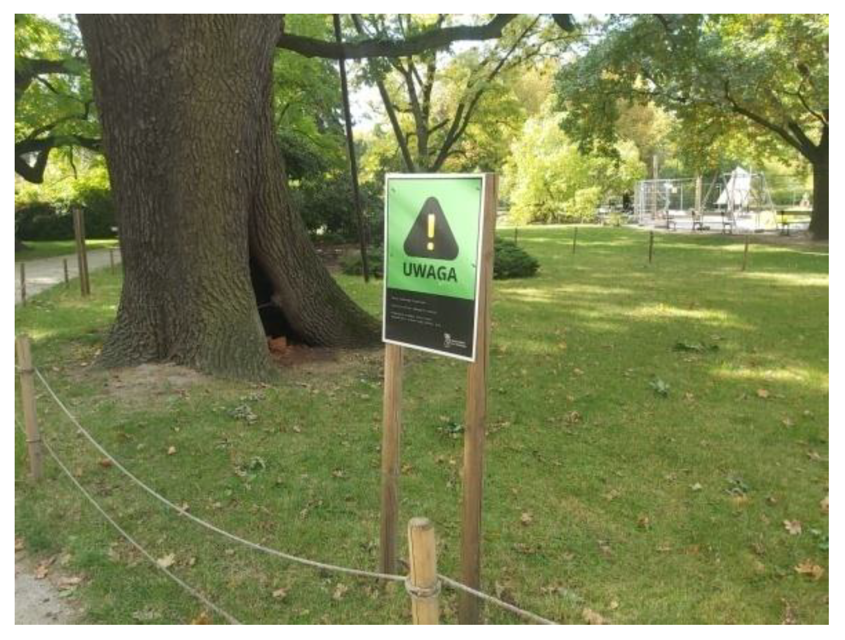 Sustainability 15 08654 g024