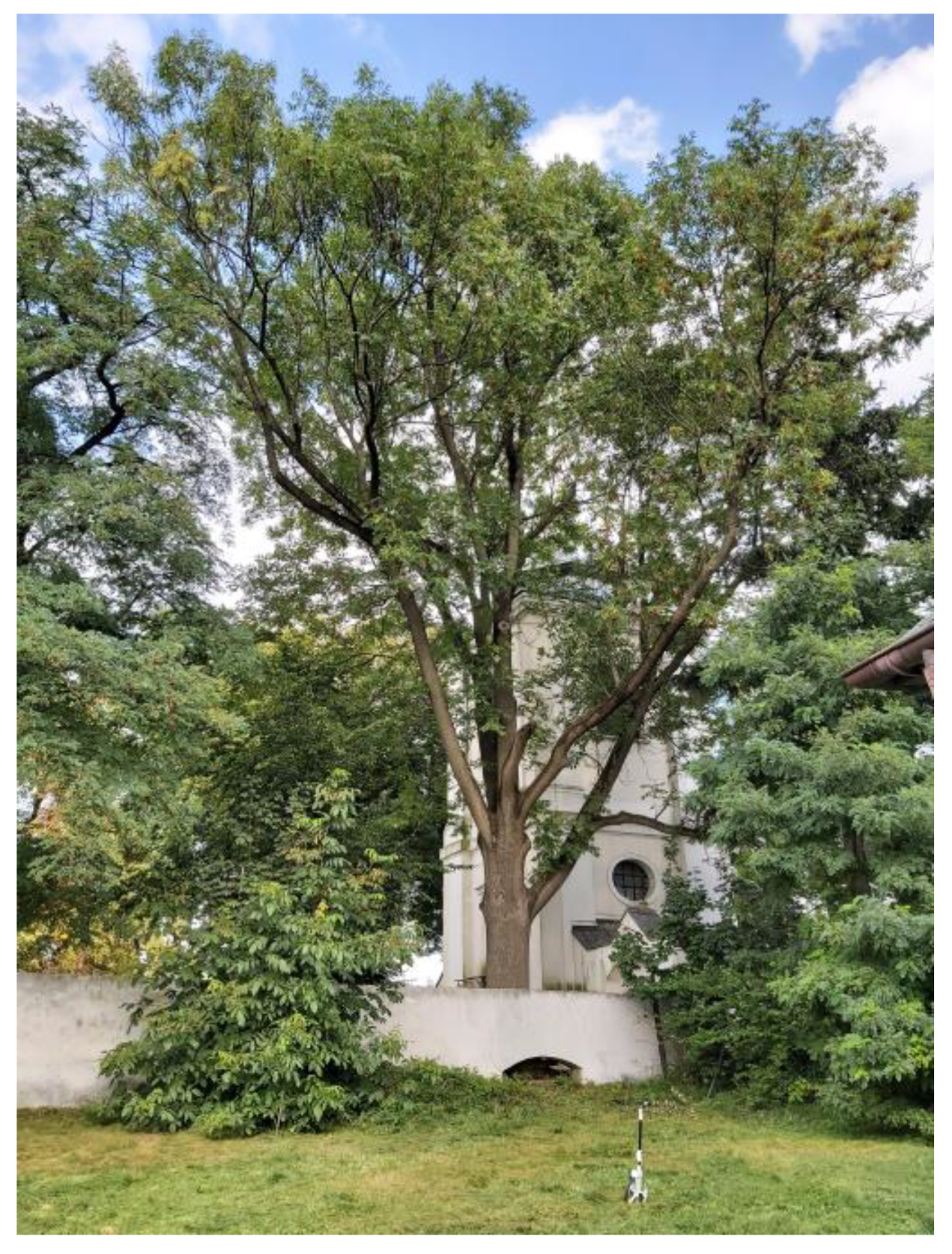 Sustainability 15 08654 g026