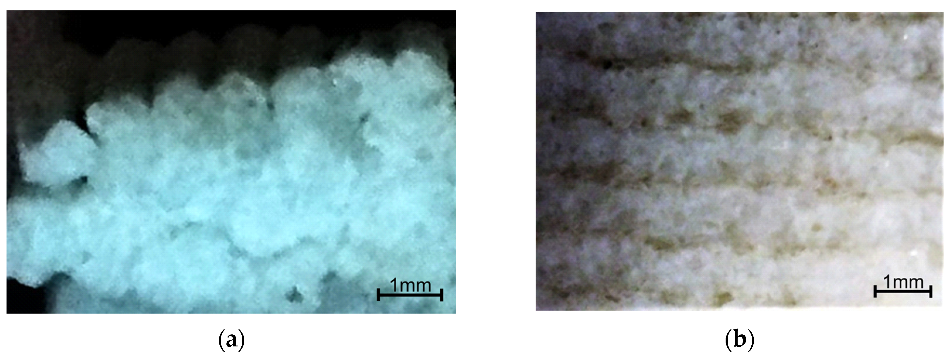 Sustainability 15 08681 g011 Sustainability 15 08681 g011