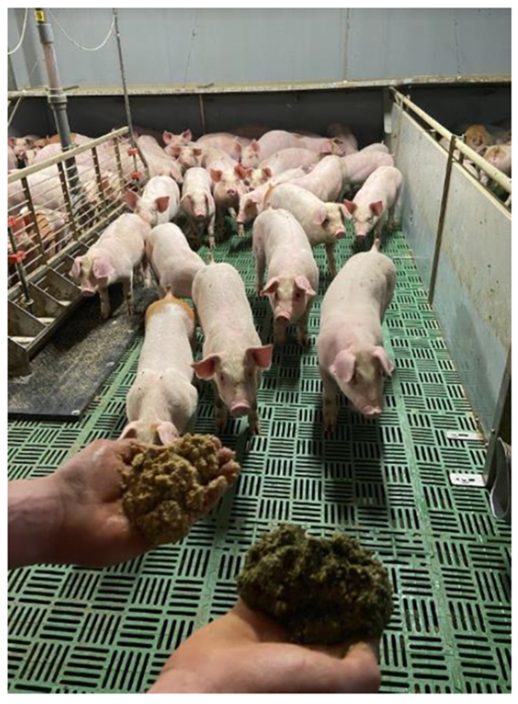 Sustainability 15 08692 g004 Sustainability 15 08692 g004