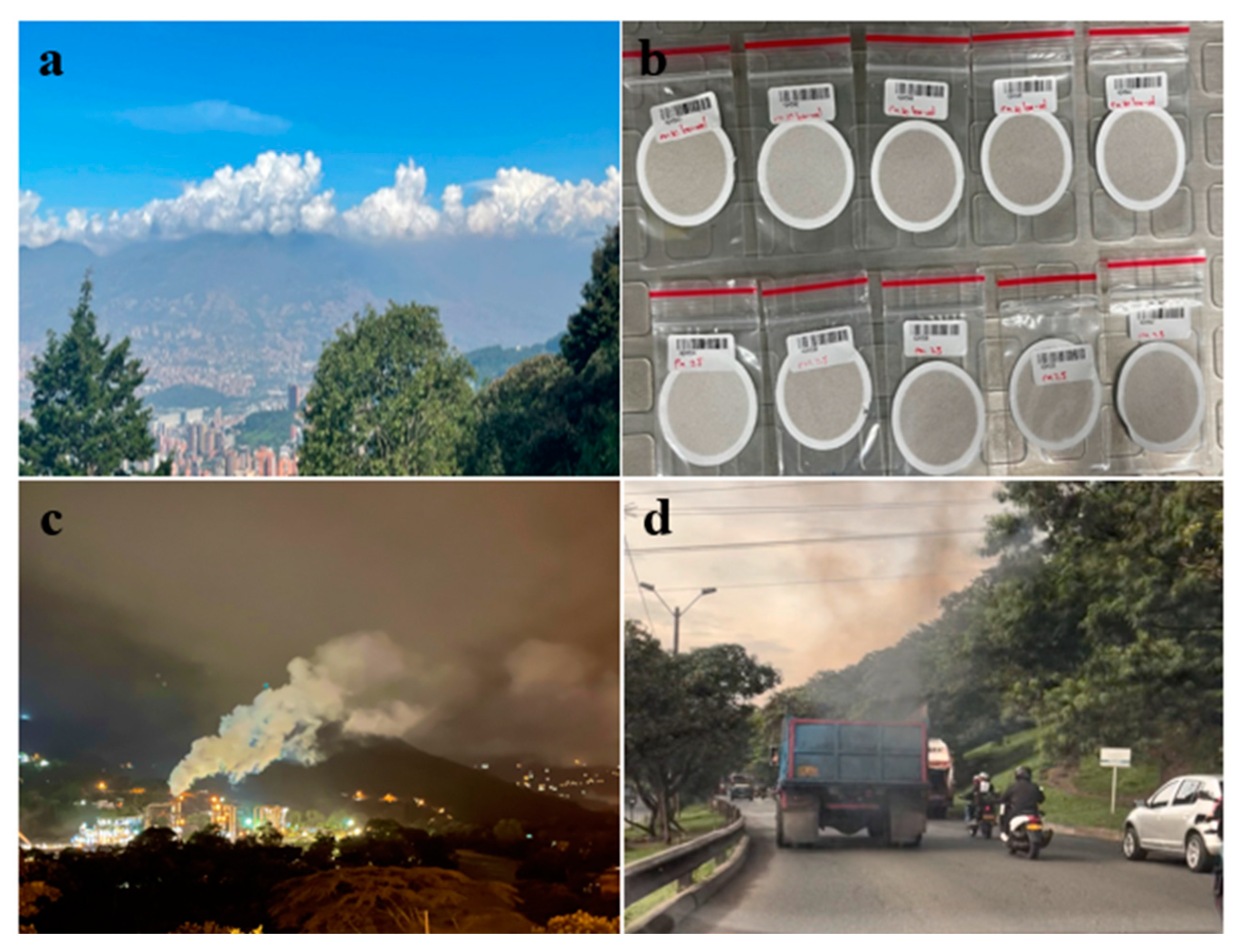 Sustainability 15 08717 g001 Sustainability 15 08717 g001