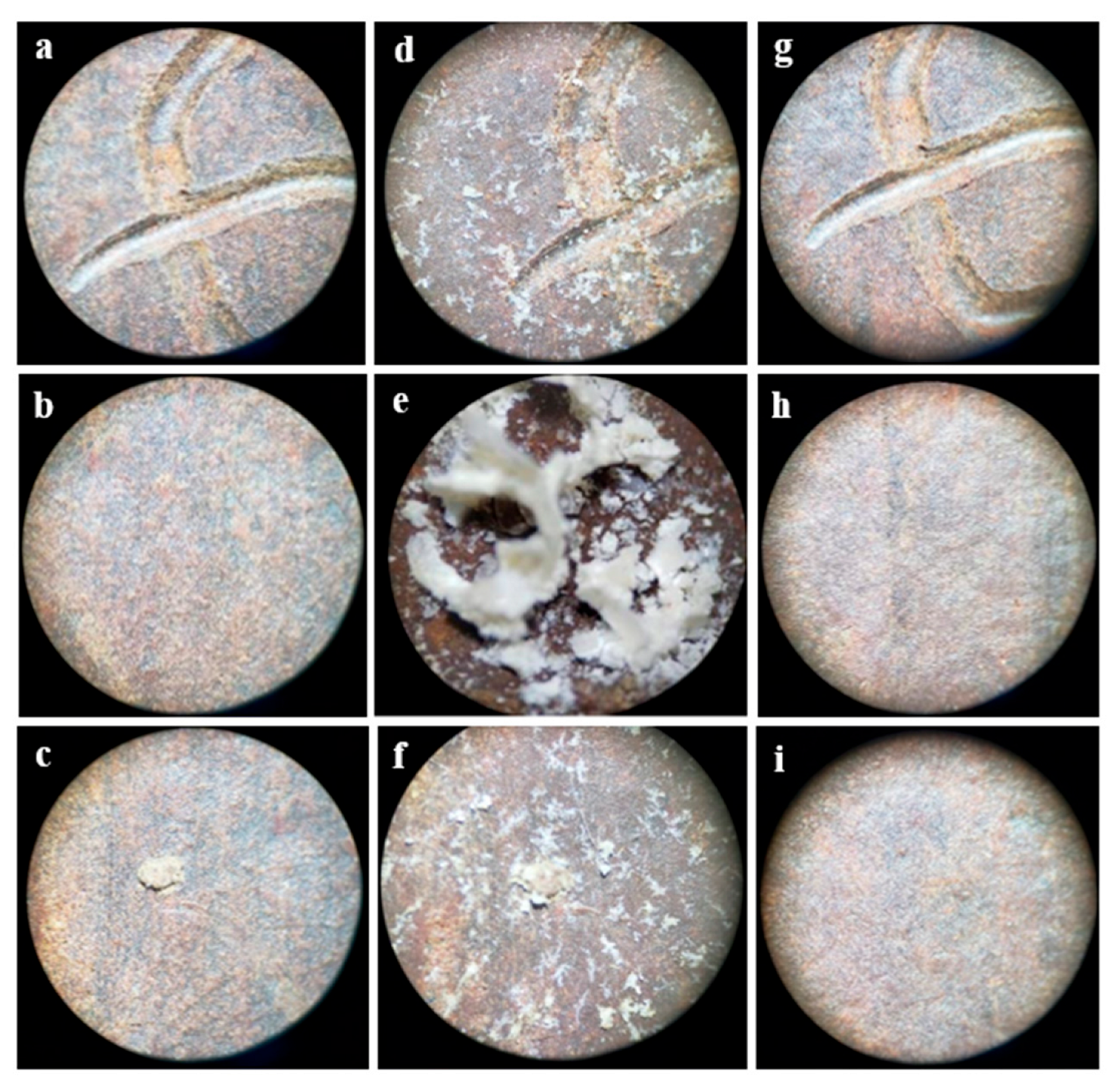 Sustainability 15 08743 g013 Sustainability 15 08743 g013