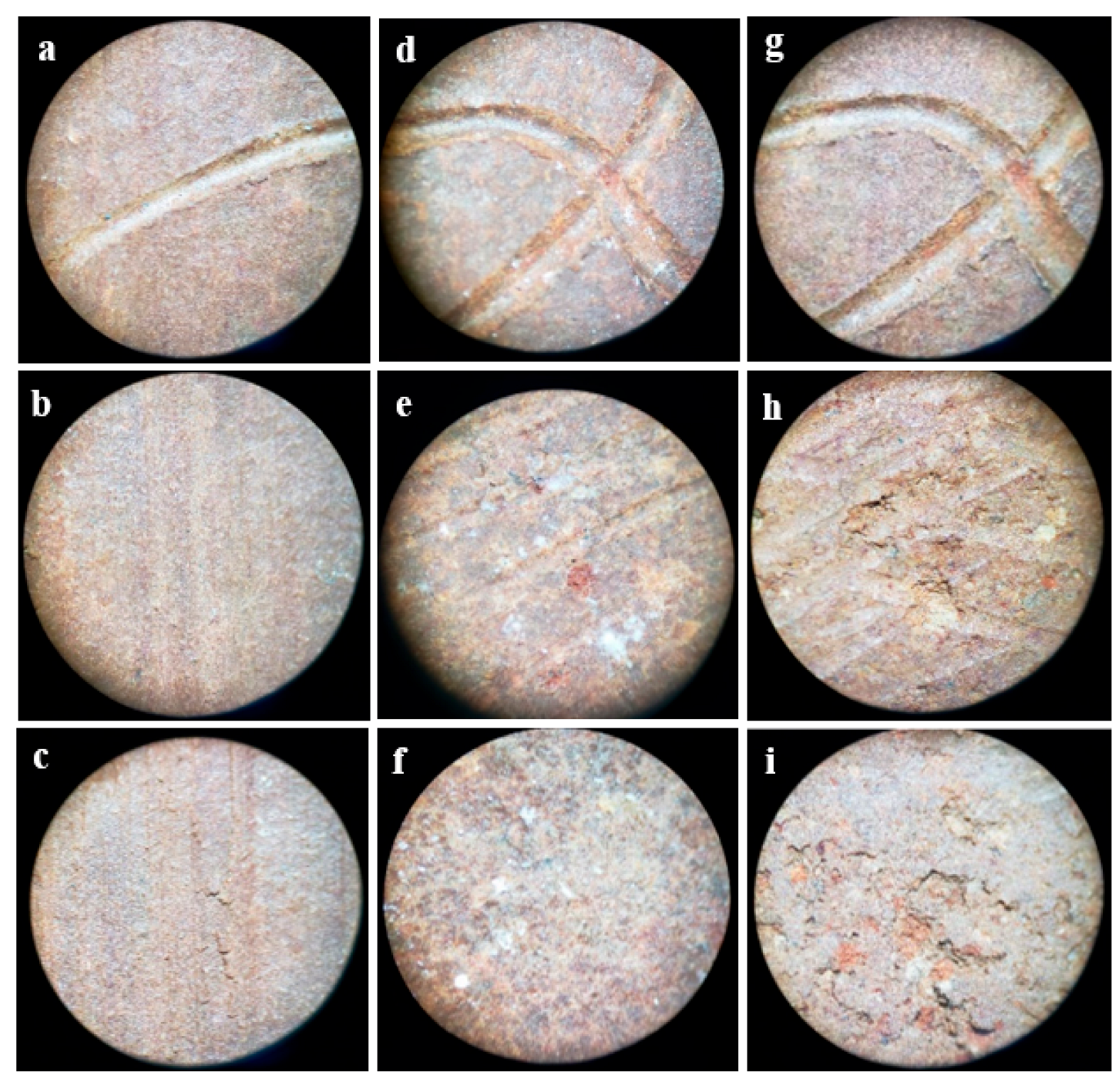 Sustainability 15 08743 g014 Sustainability 15 08743 g014