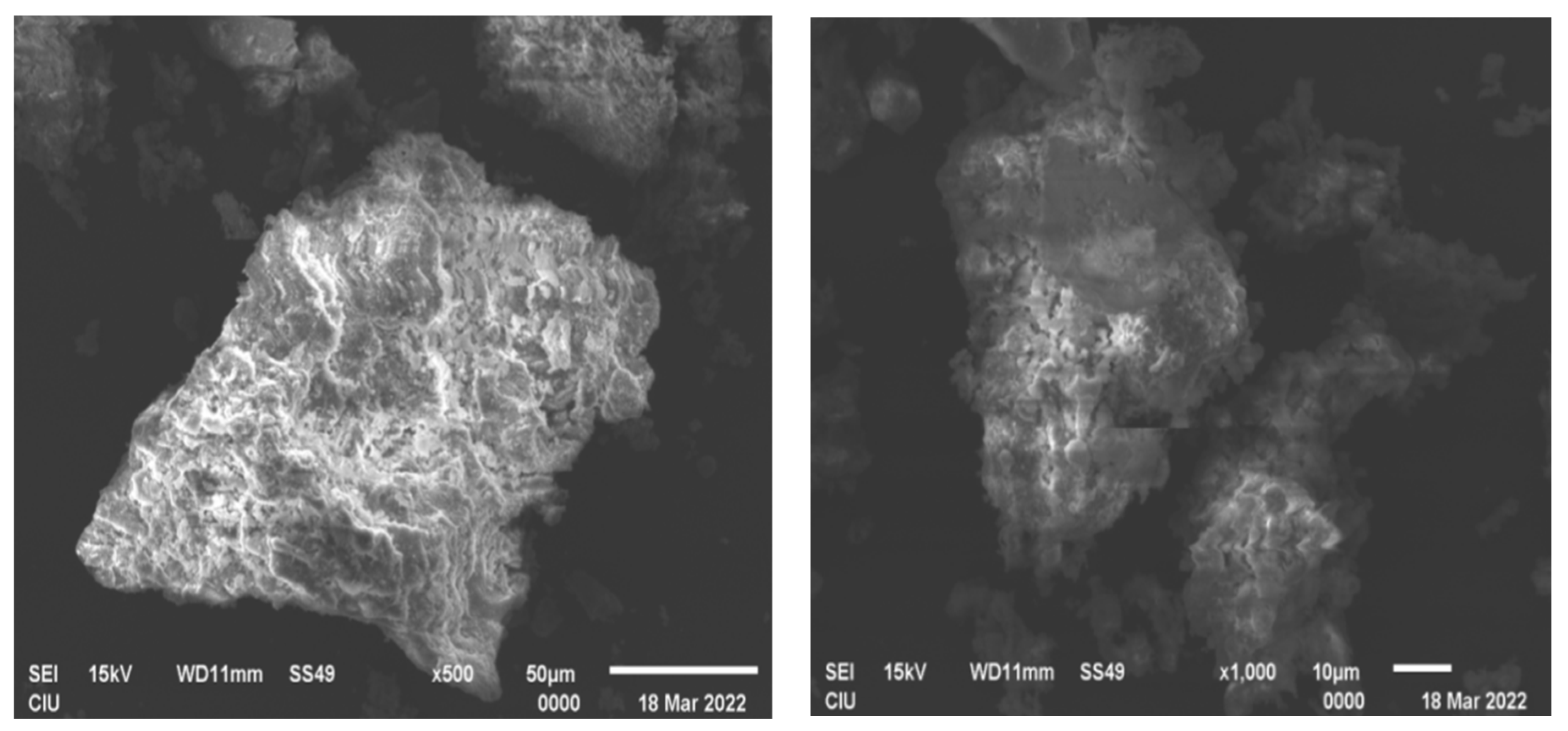 Sustainability 15 08776 g004