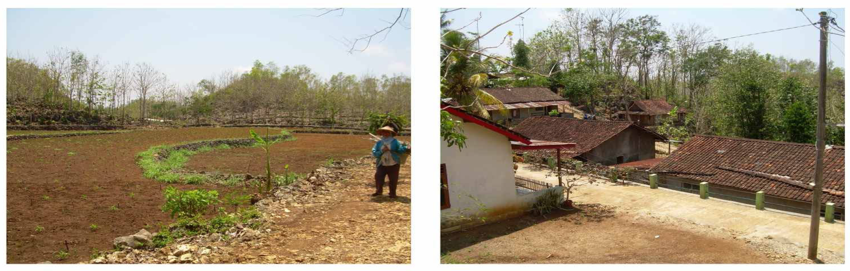 Sustainability 15 08782 g001