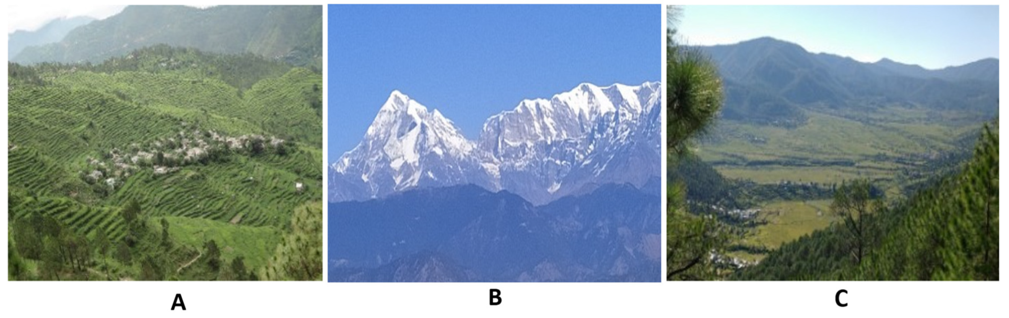 Sustainability 15 08816 g002