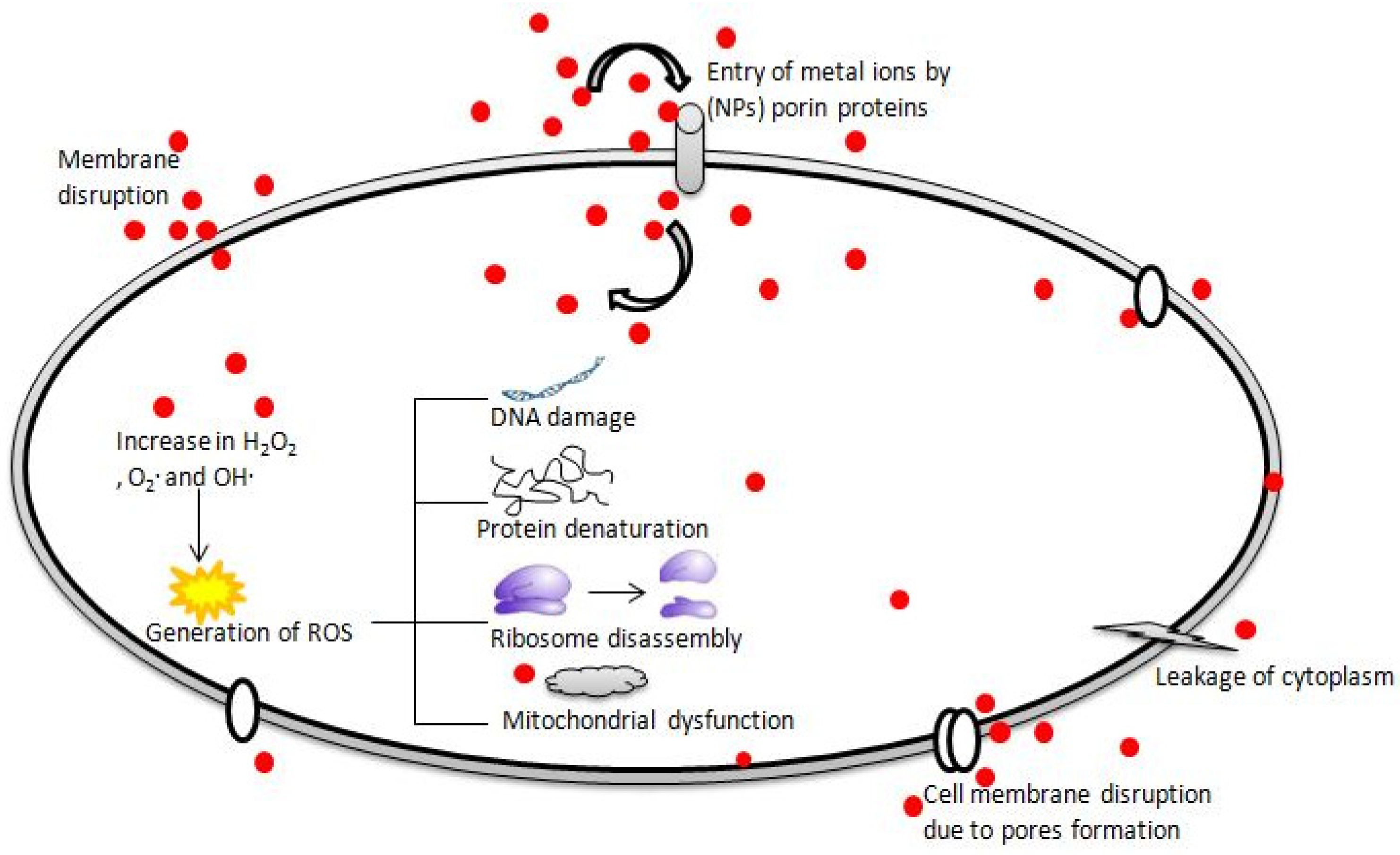 Sustainability 15 08911 g001