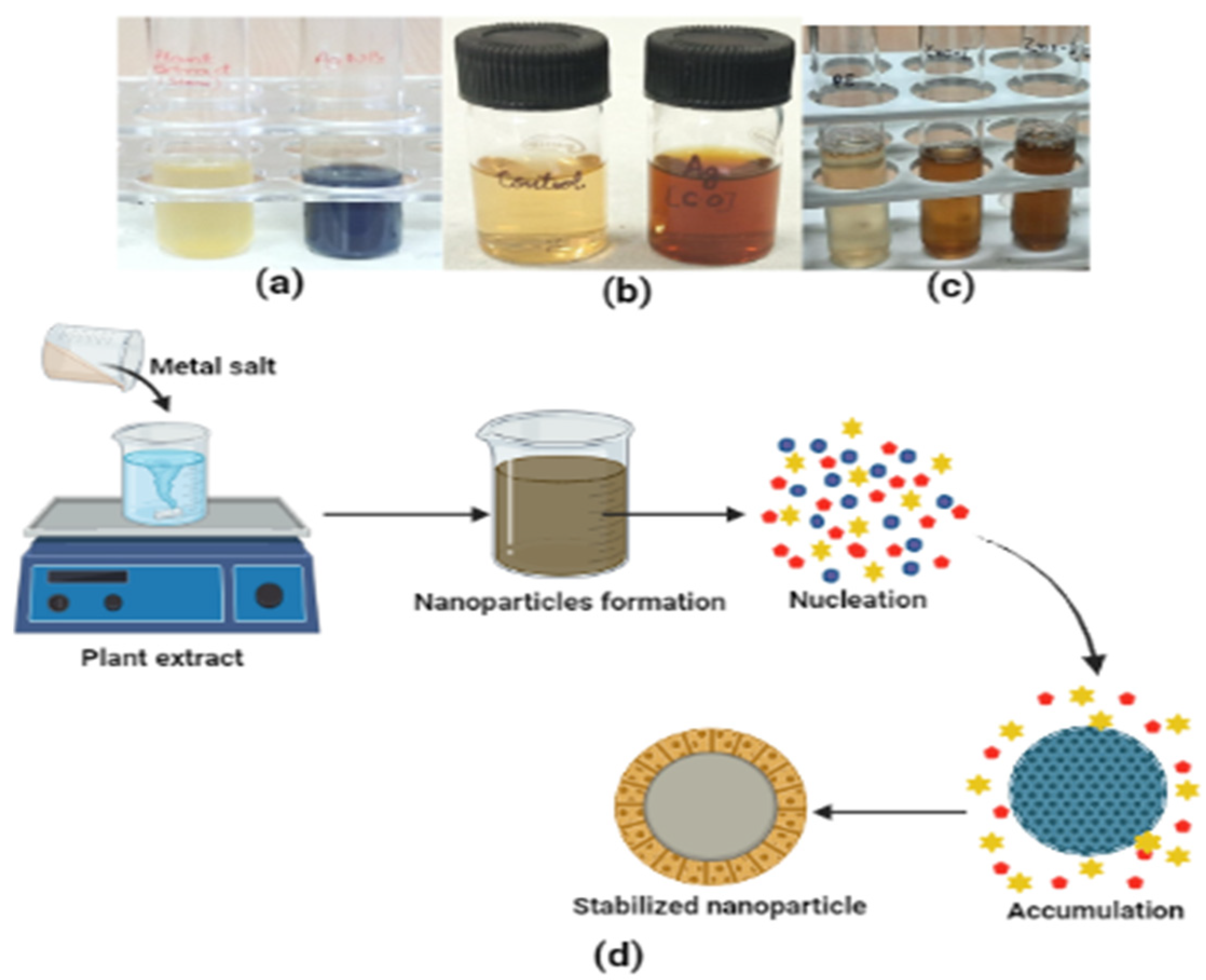 Sustainability 15 08911 g002