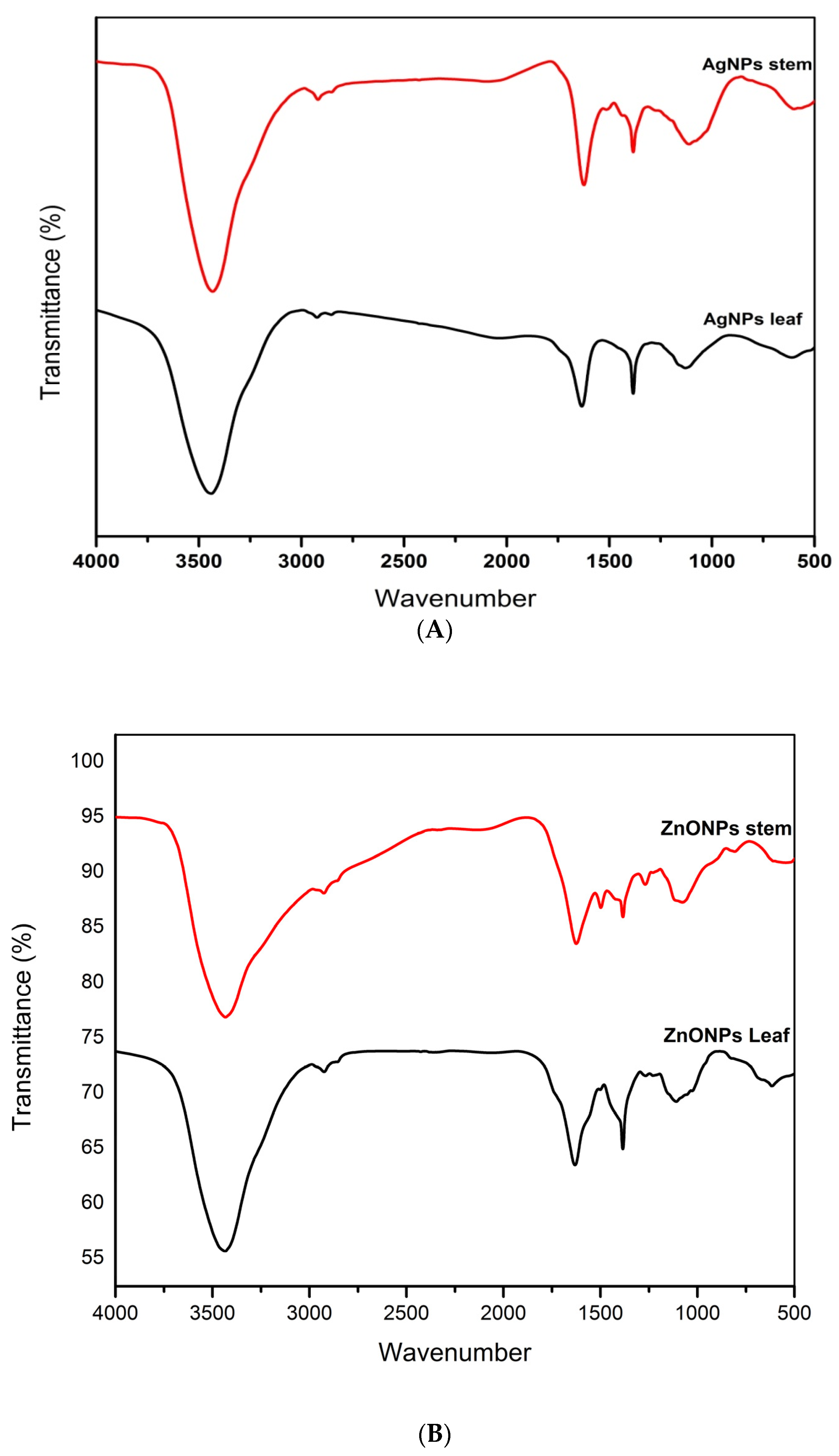 Sustainability 15 08911 g004