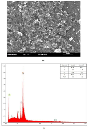 Potential of Biosynthesized Silver and Zinc Oxide Nanoparticles from ...