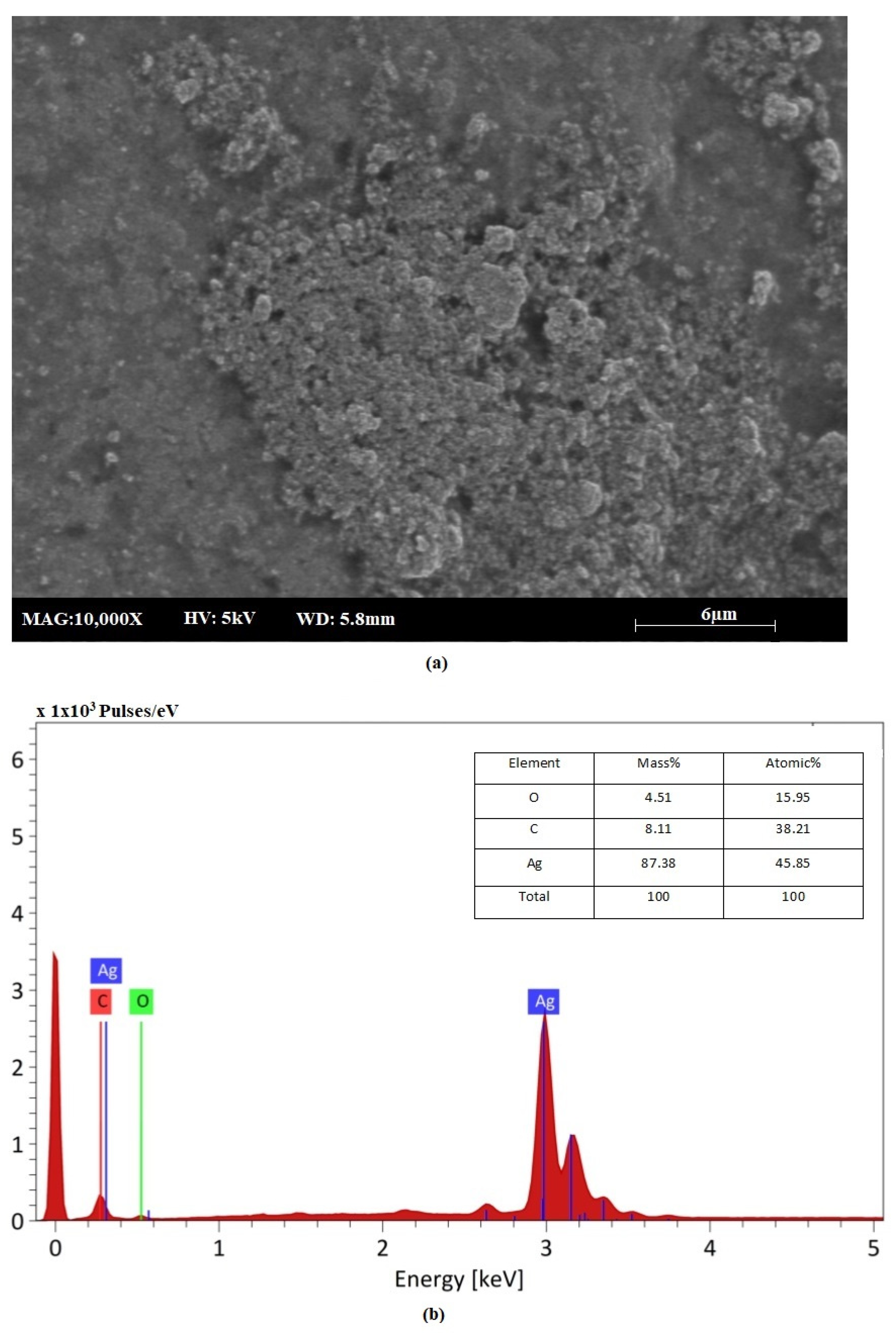 Sustainability 15 08911 g006