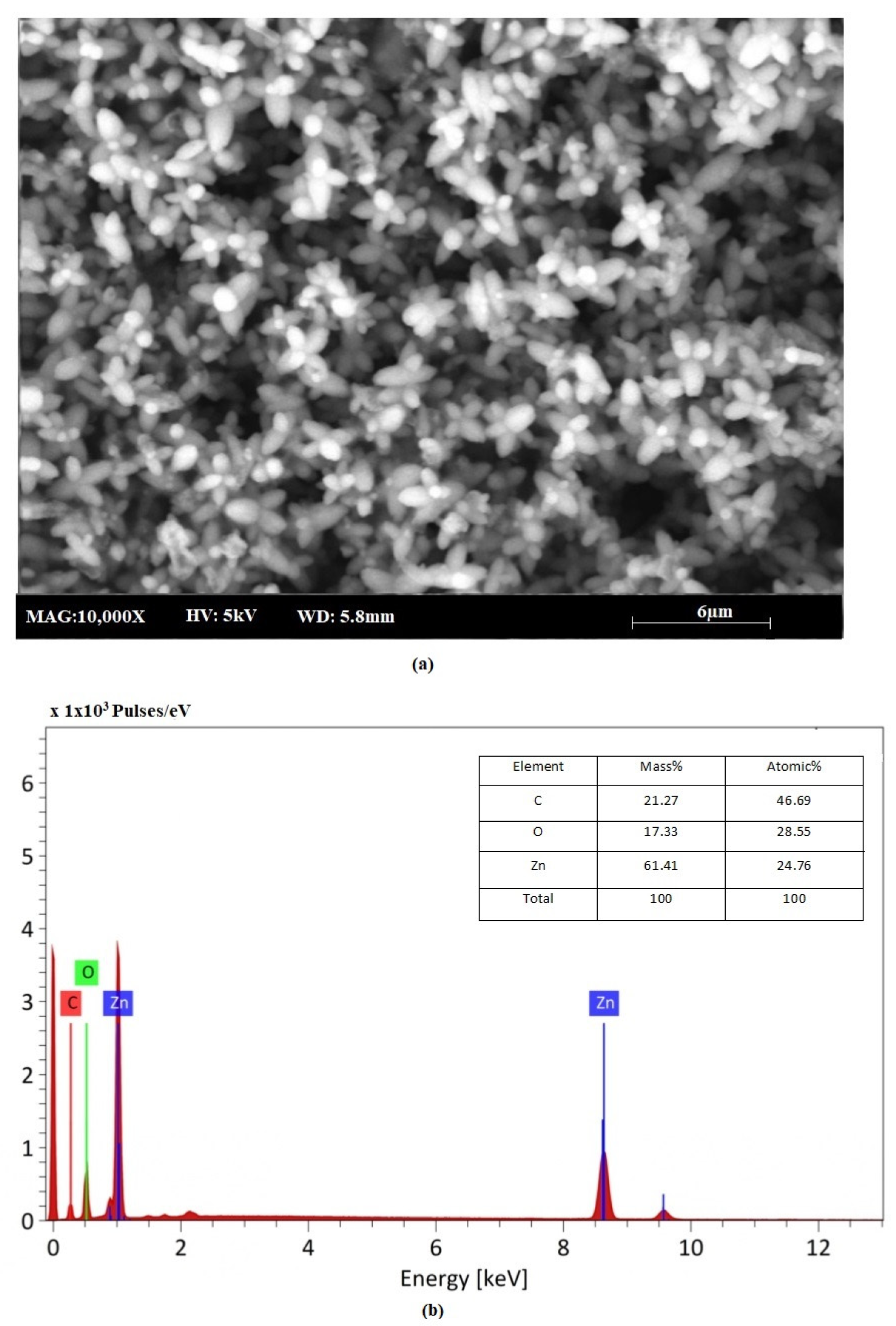 Sustainability 15 08911 g008