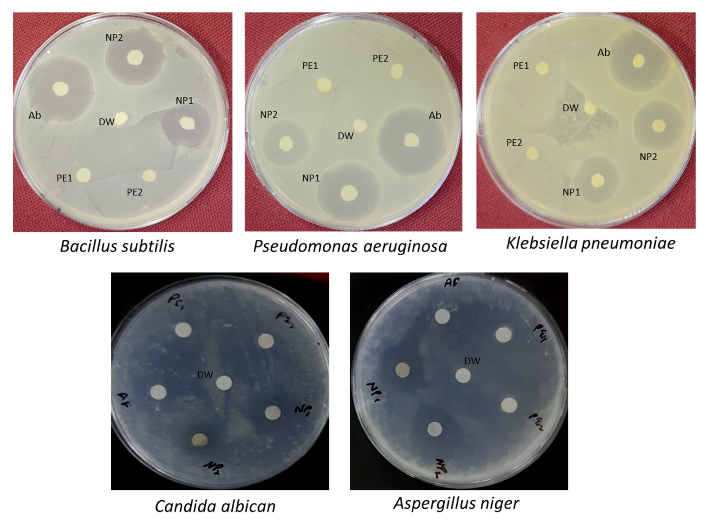 Sustainability 15 08911 g012
