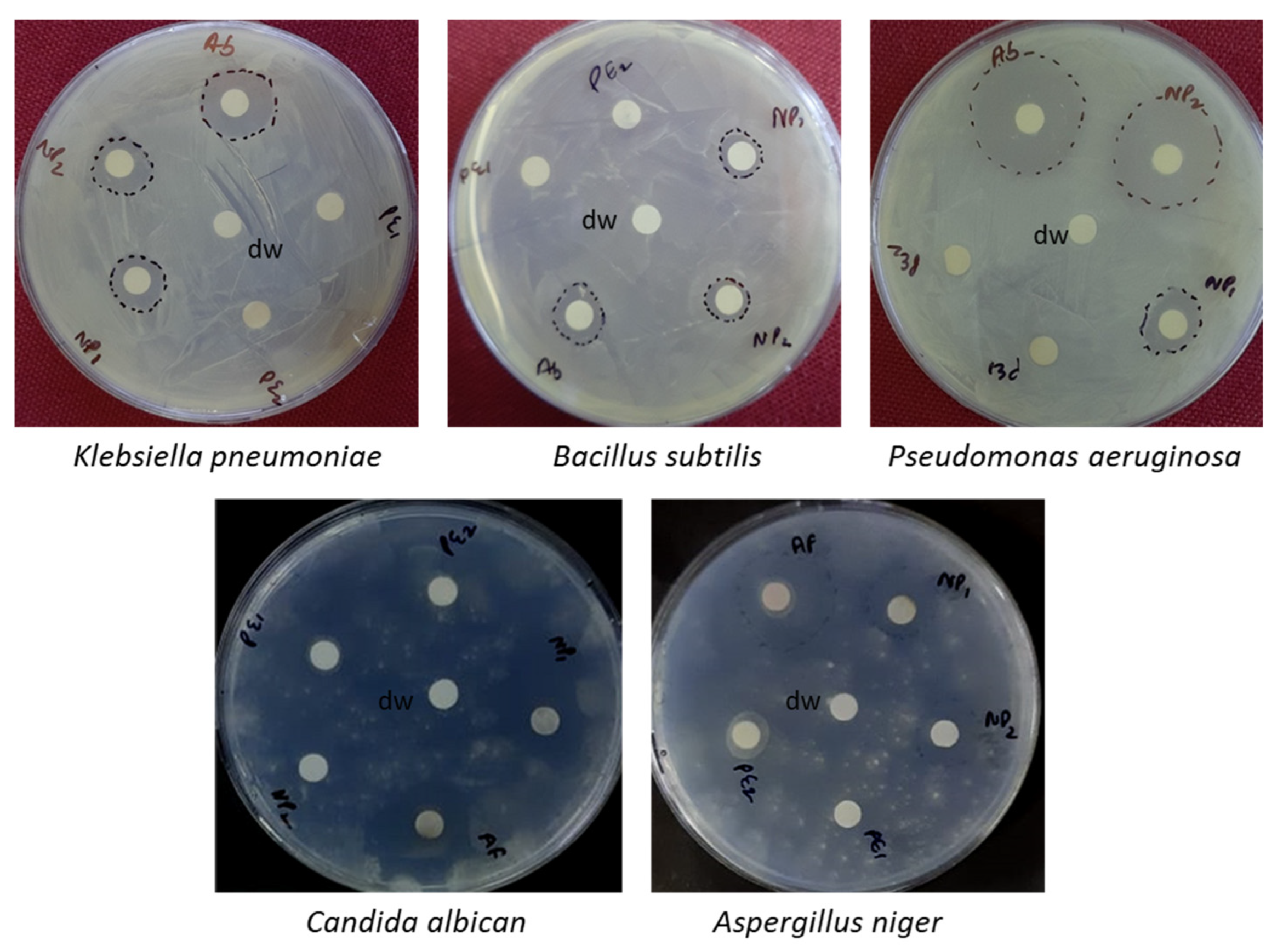 Sustainability 15 08911 g013