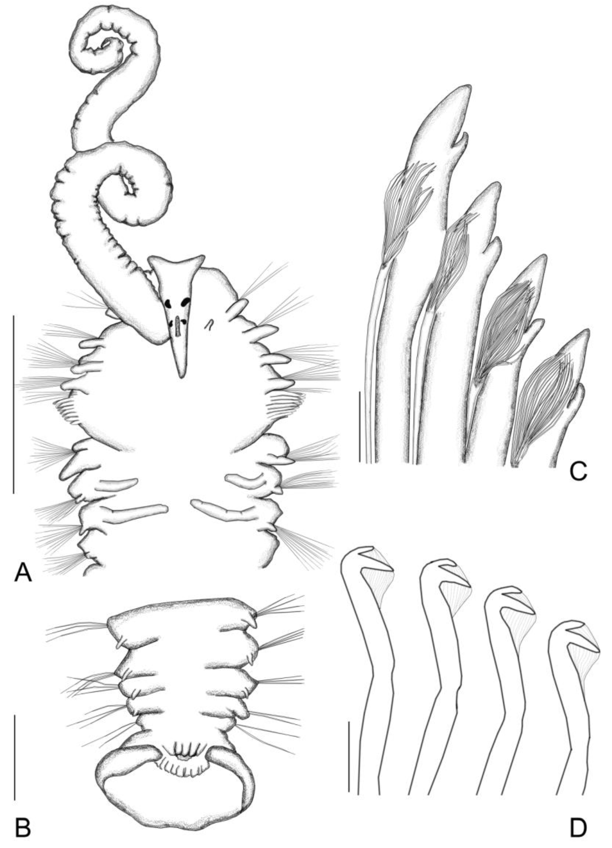 Sustainability 15 08946 g002 Sustainability 15 08946 g002