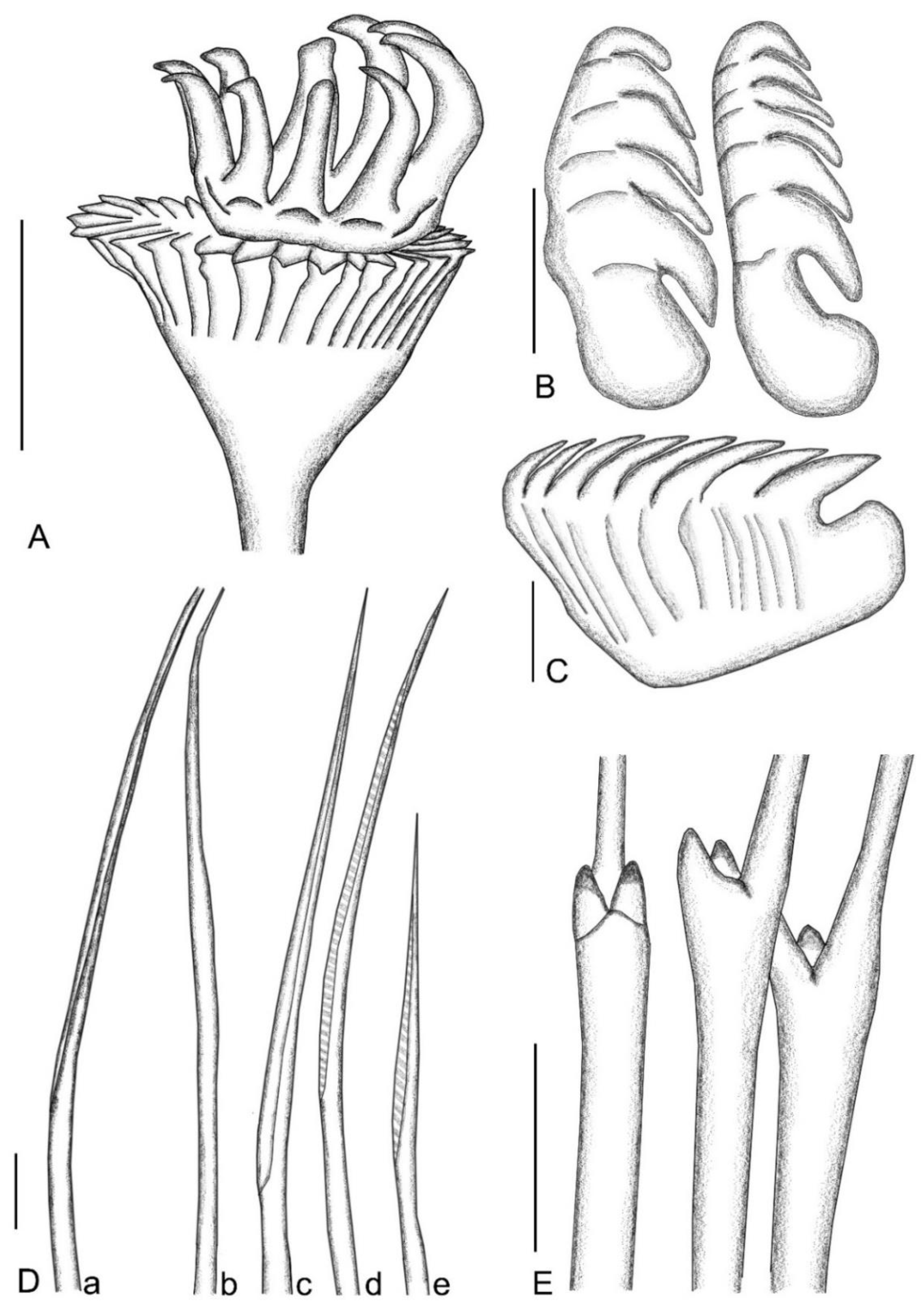 Sustainability 15 08946 g004 Sustainability 15 08946 g004