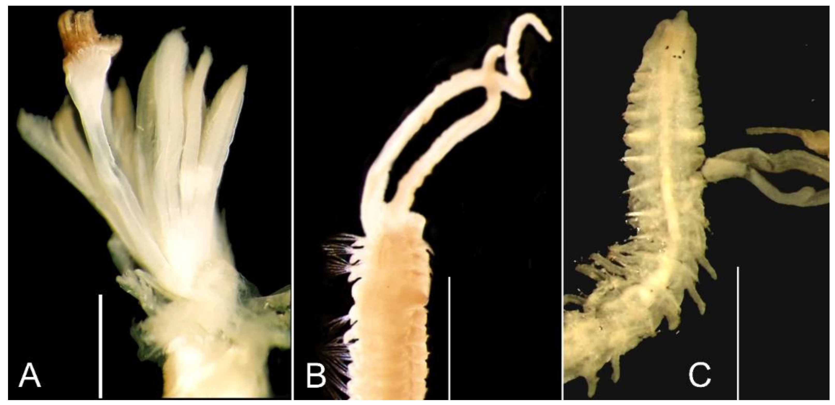 Sustainability 15 08946 g005 Sustainability 15 08946 g005