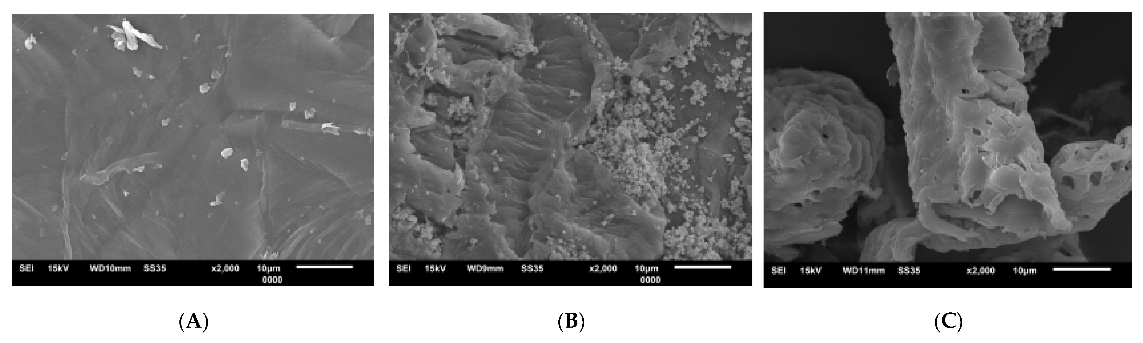 Sustainability 15 09041 g012