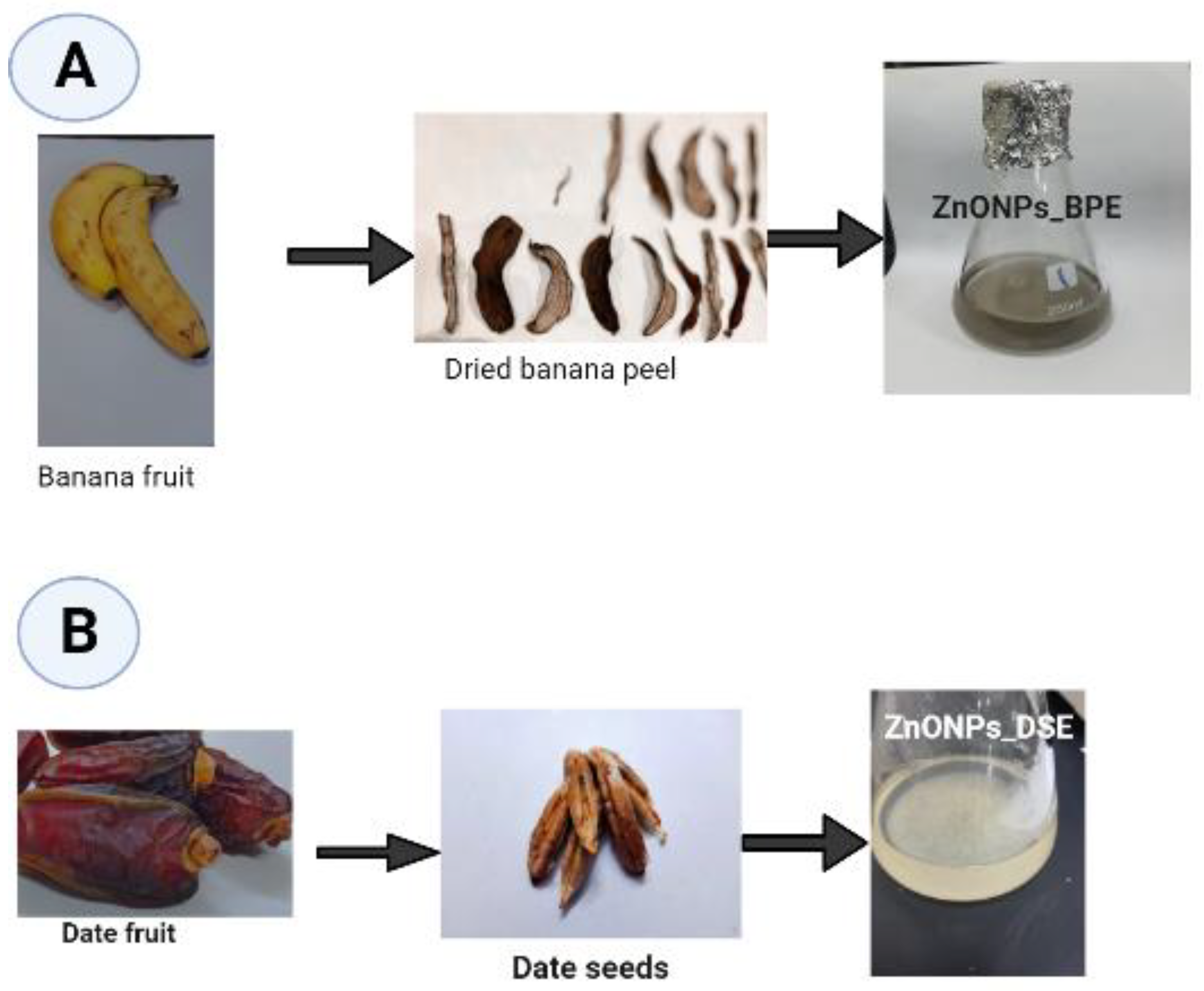 Sustainability 15 09048 g001 Sustainability 15 09048 g001