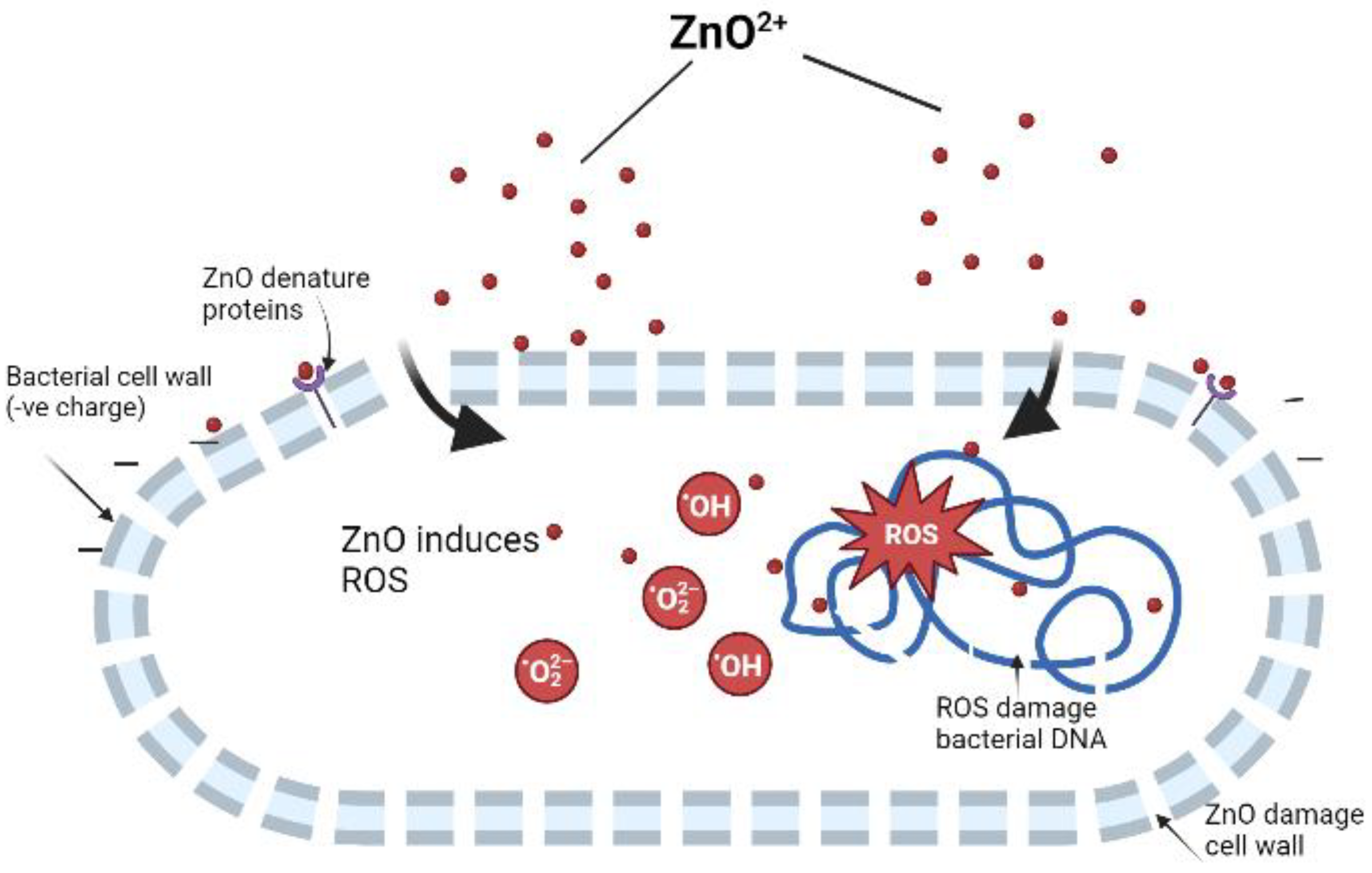 Sustainability 15 09048 g007 Sustainability 15 09048 g007