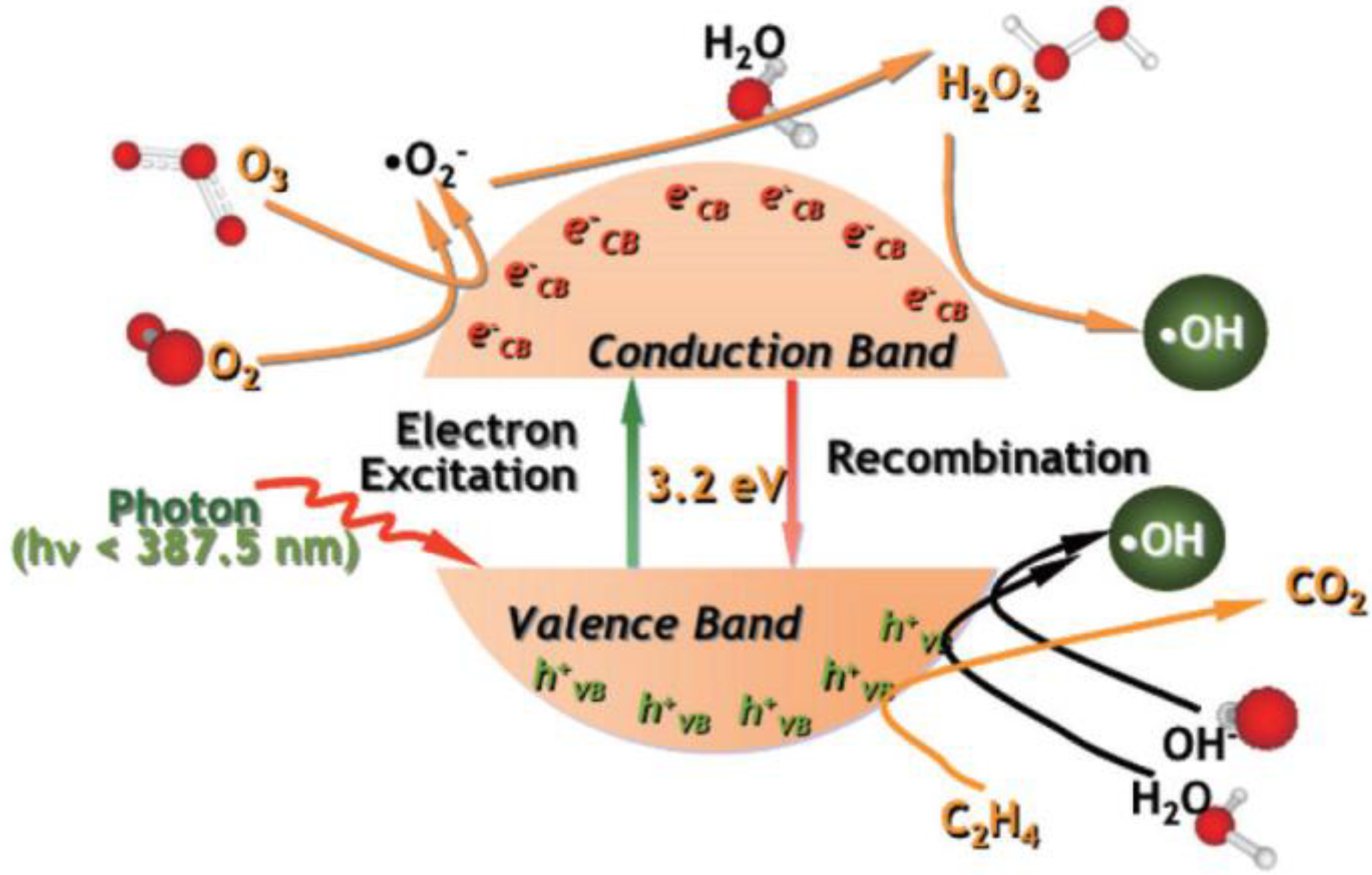 Sustainability 15 09098 g001 550