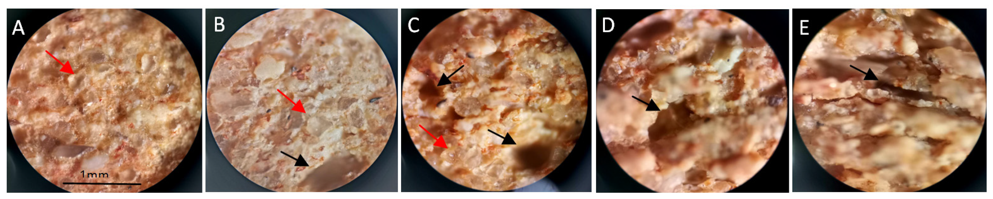 Sustainability 15 09120 g011