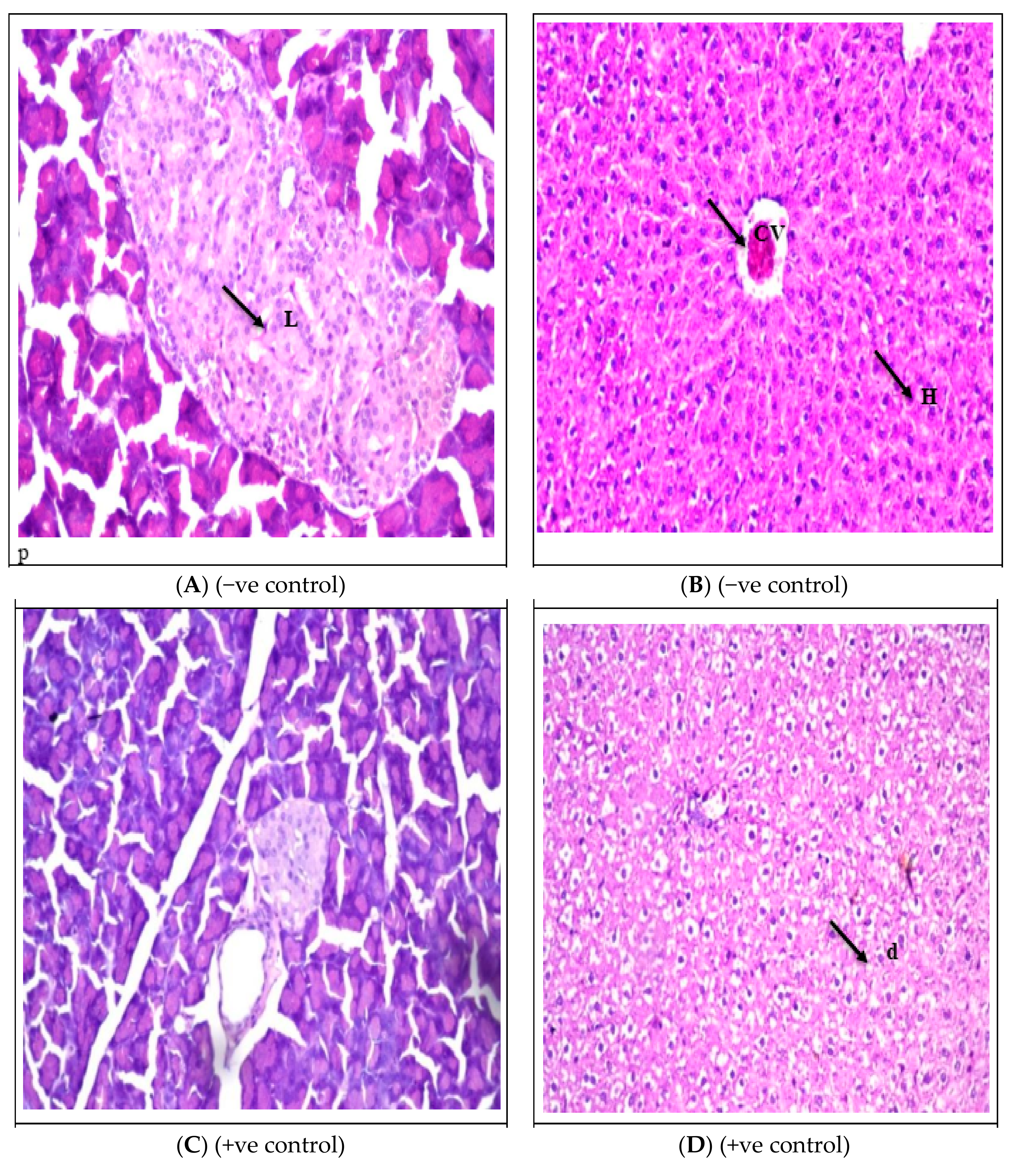Sustainability 15 09126 g001a