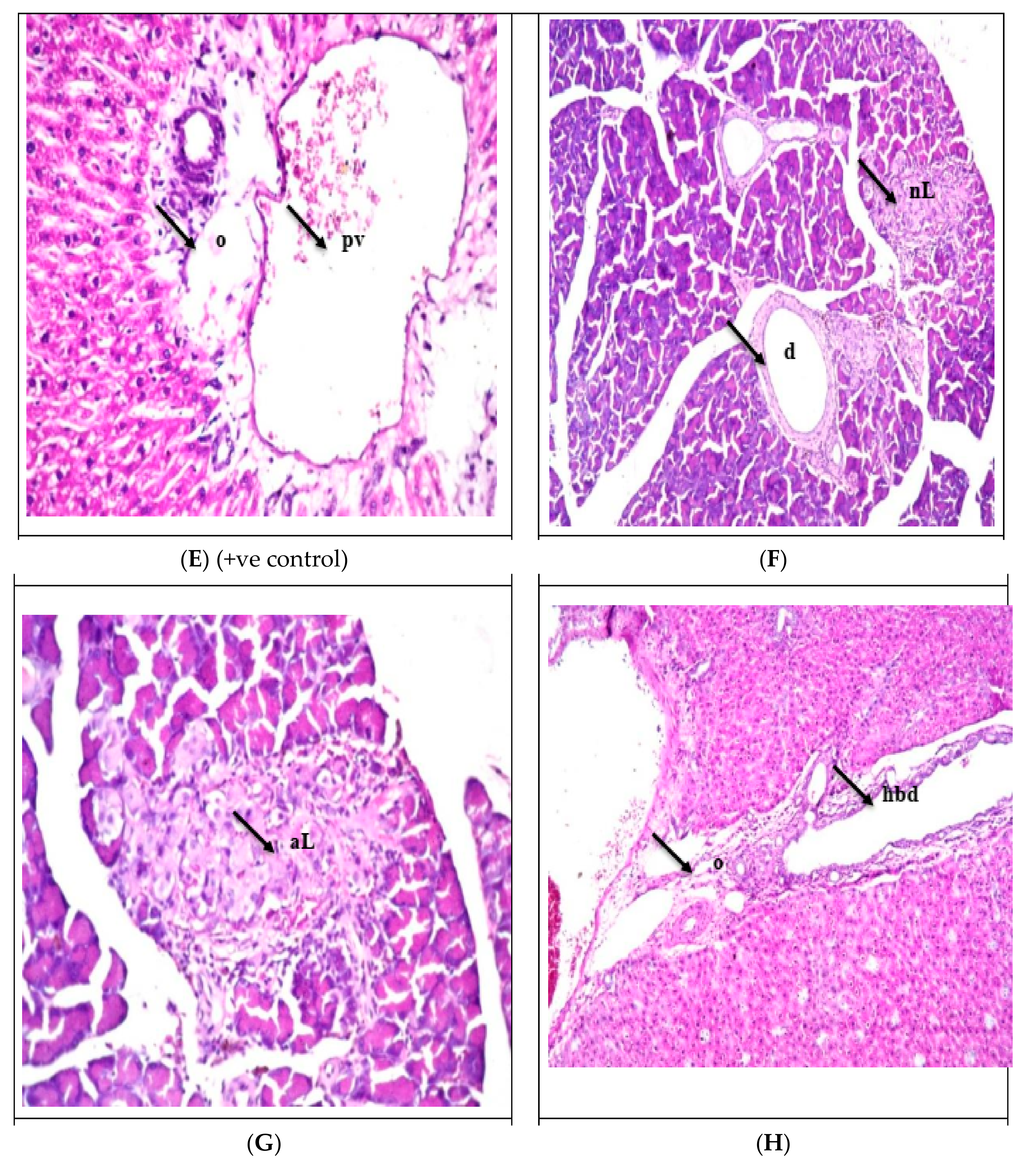 Sustainability 15 09126 g001b