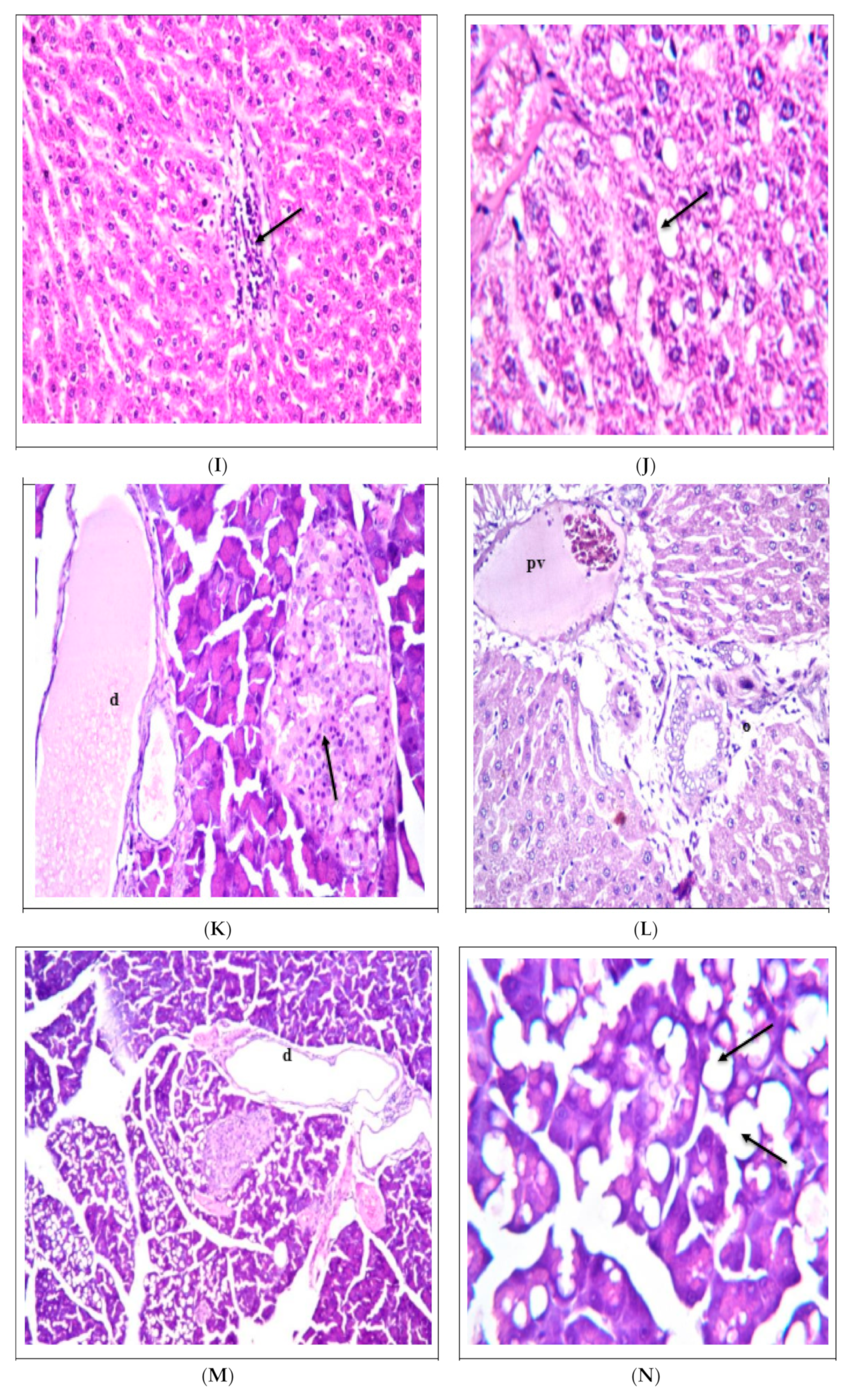 Sustainability 15 09126 g001c