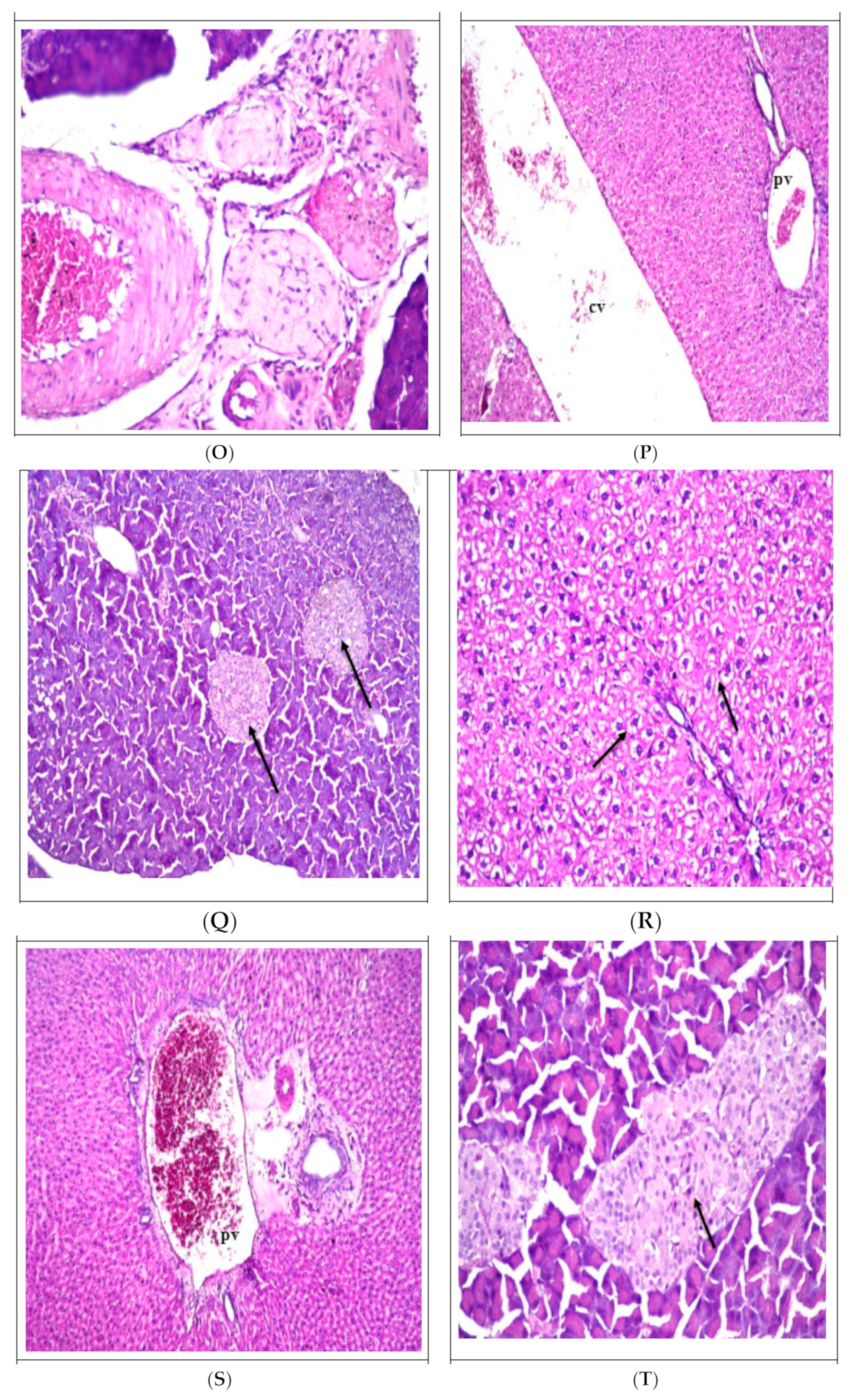 Sustainability 15 09126 g001d