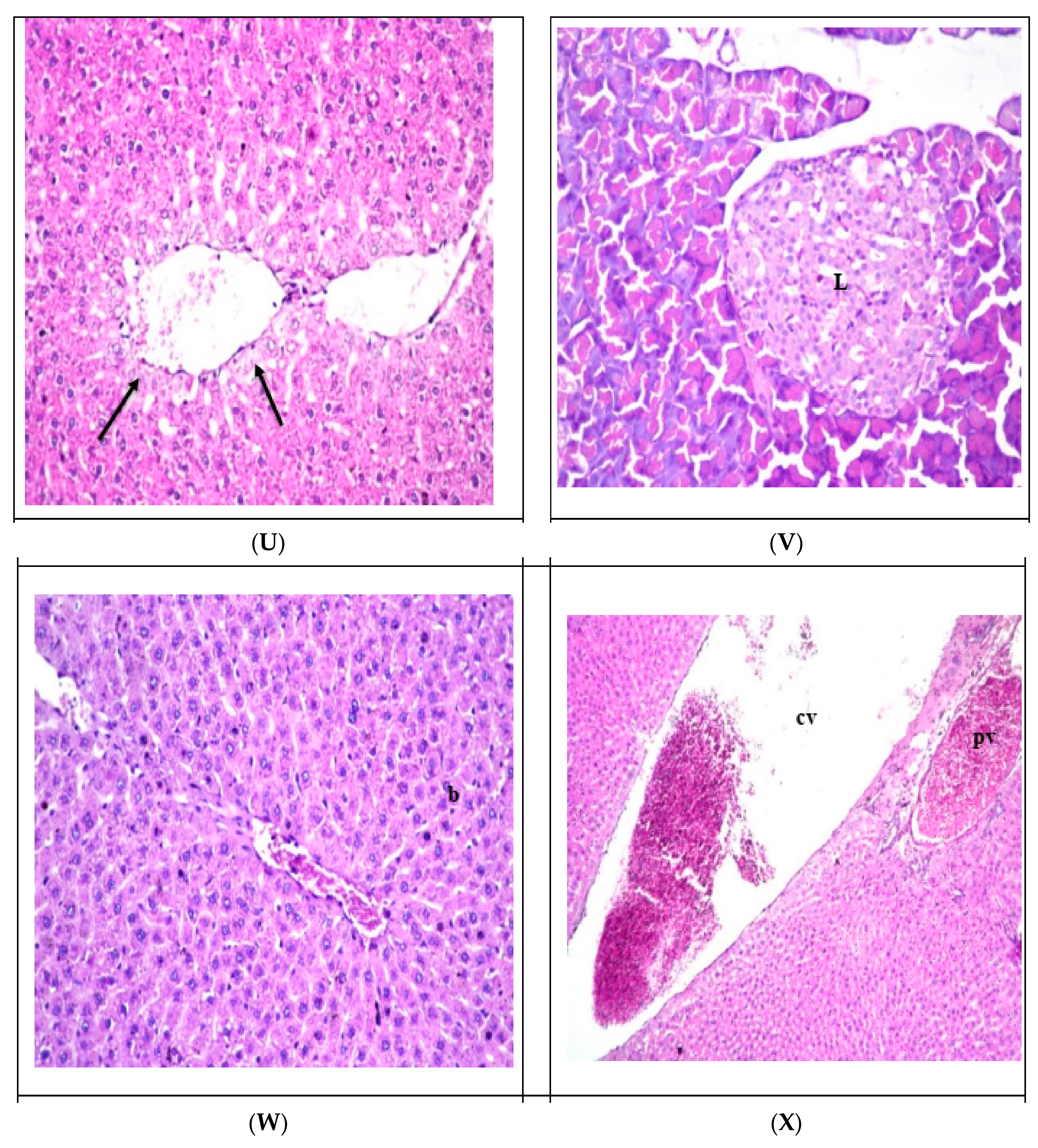 Sustainability 15 09126 g001e