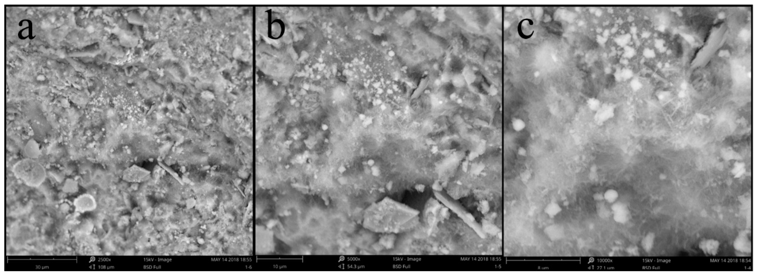 Sustainability 15 09134 g006 550